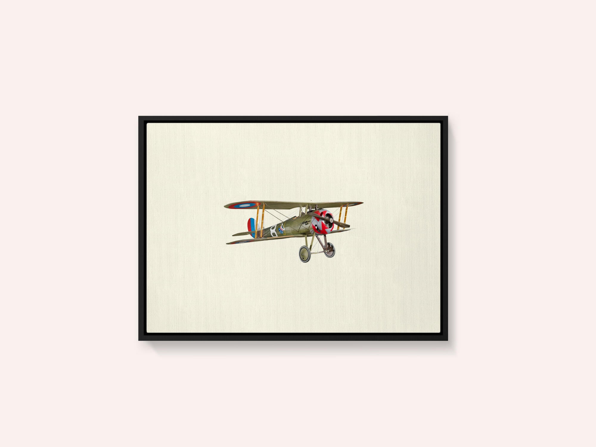 Vintage Biplane Model