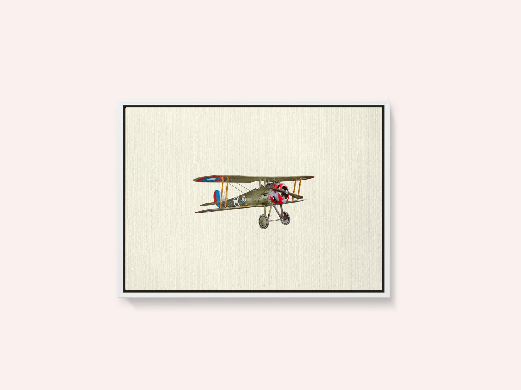 Vintage Biplane Model