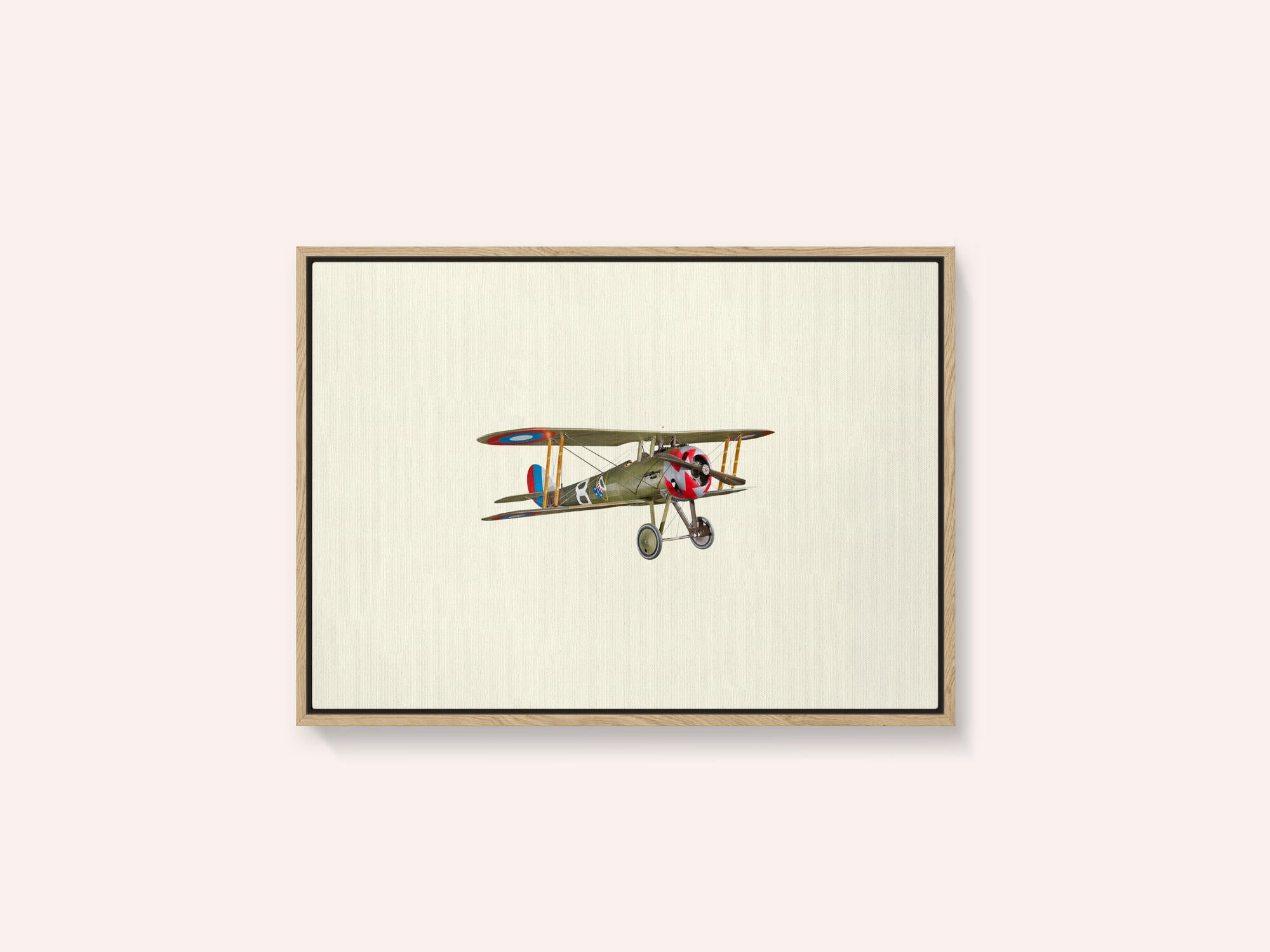 Vintage Biplane Model