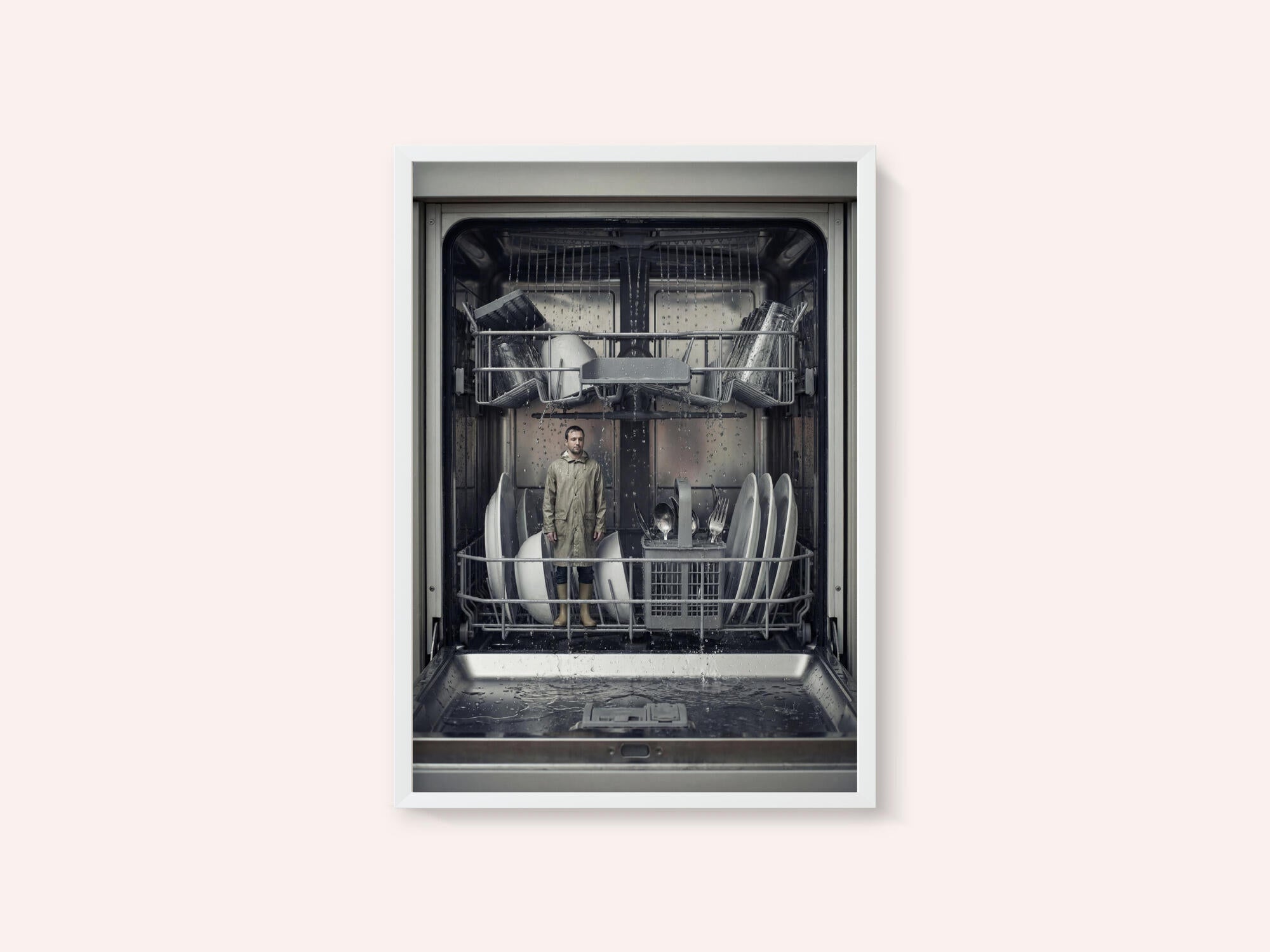 The Dishwasher