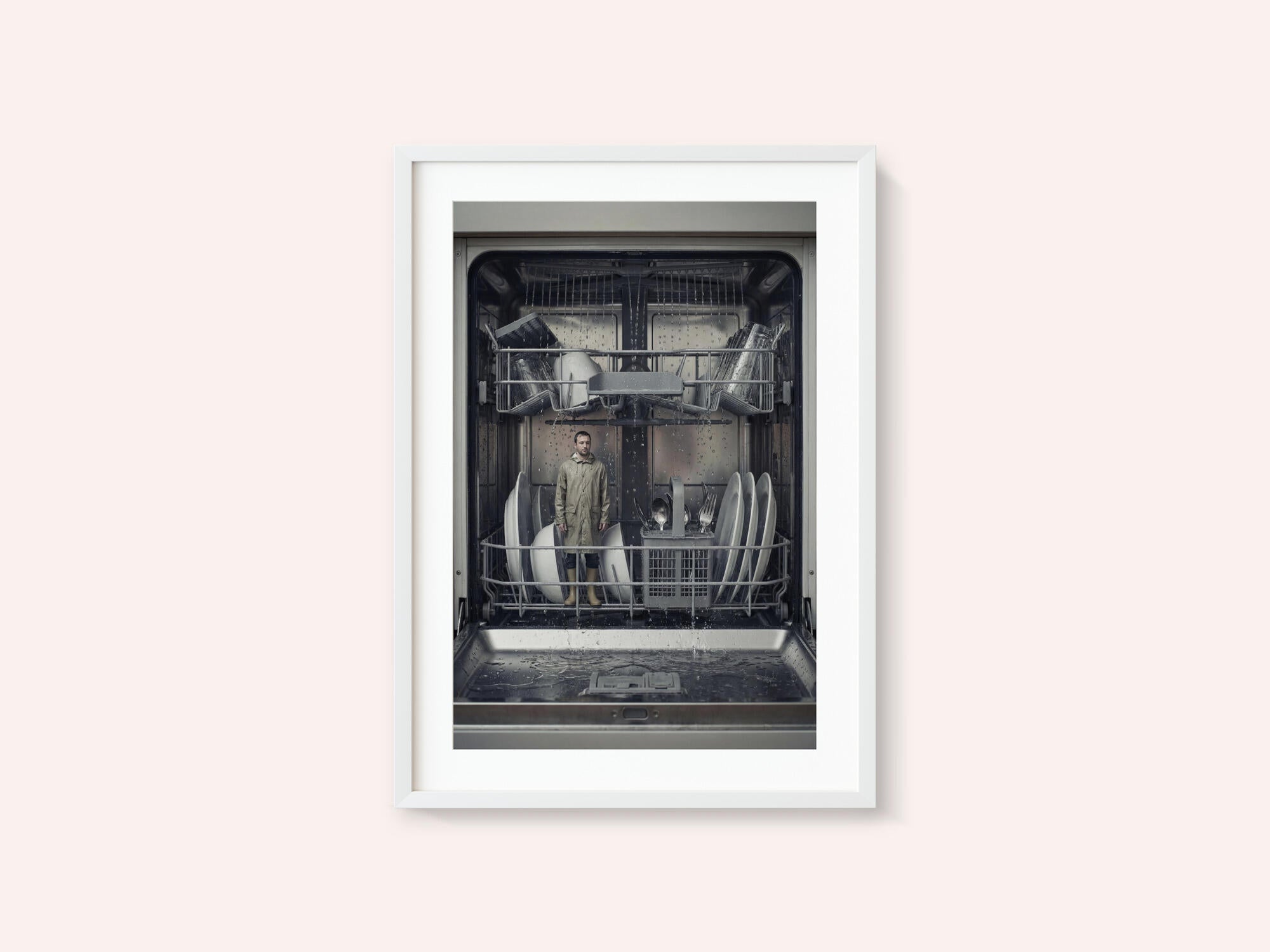 The Dishwasher
