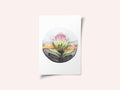 Protea Sunset Bloom