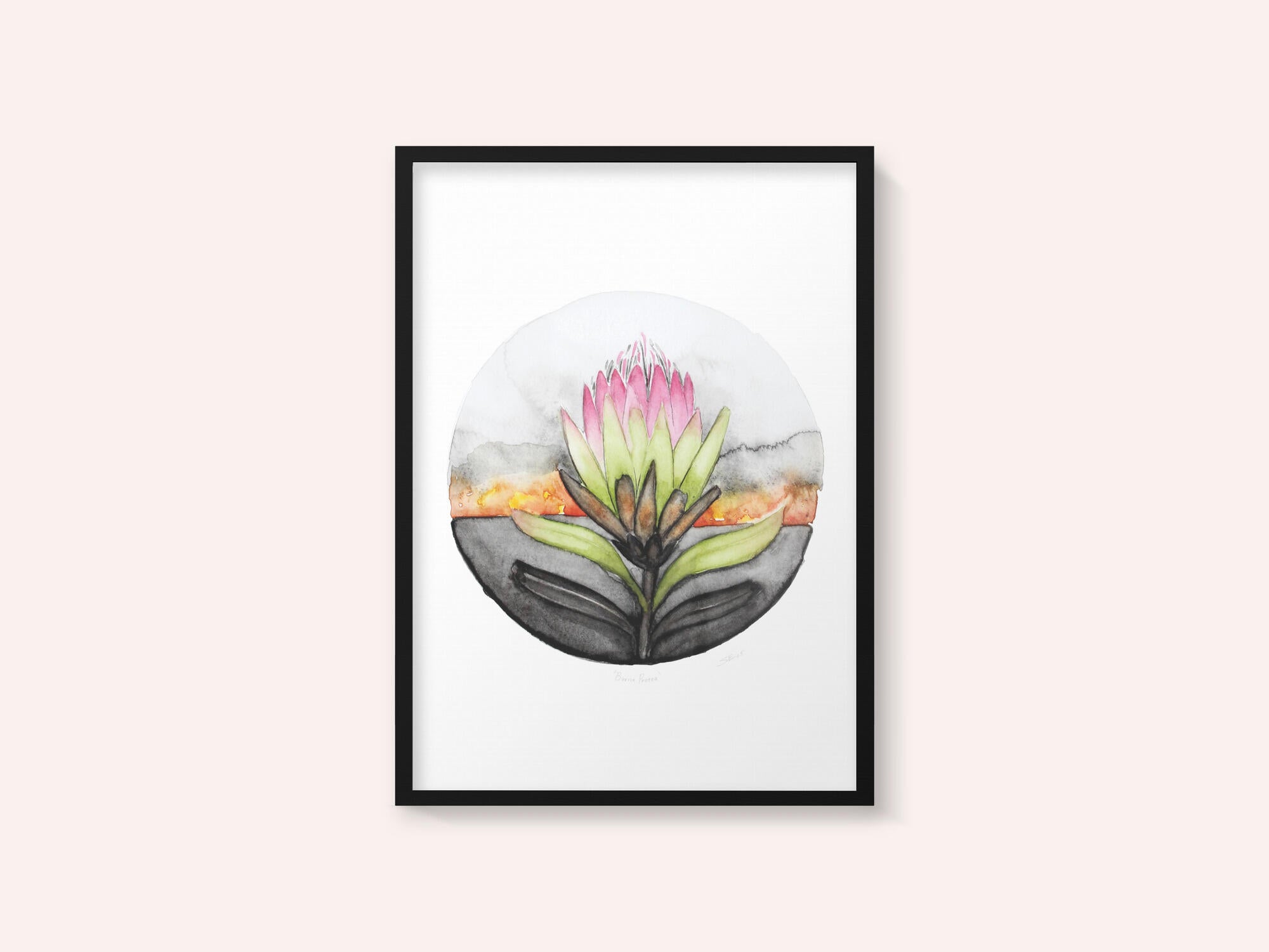Protea Sunset Bloom
