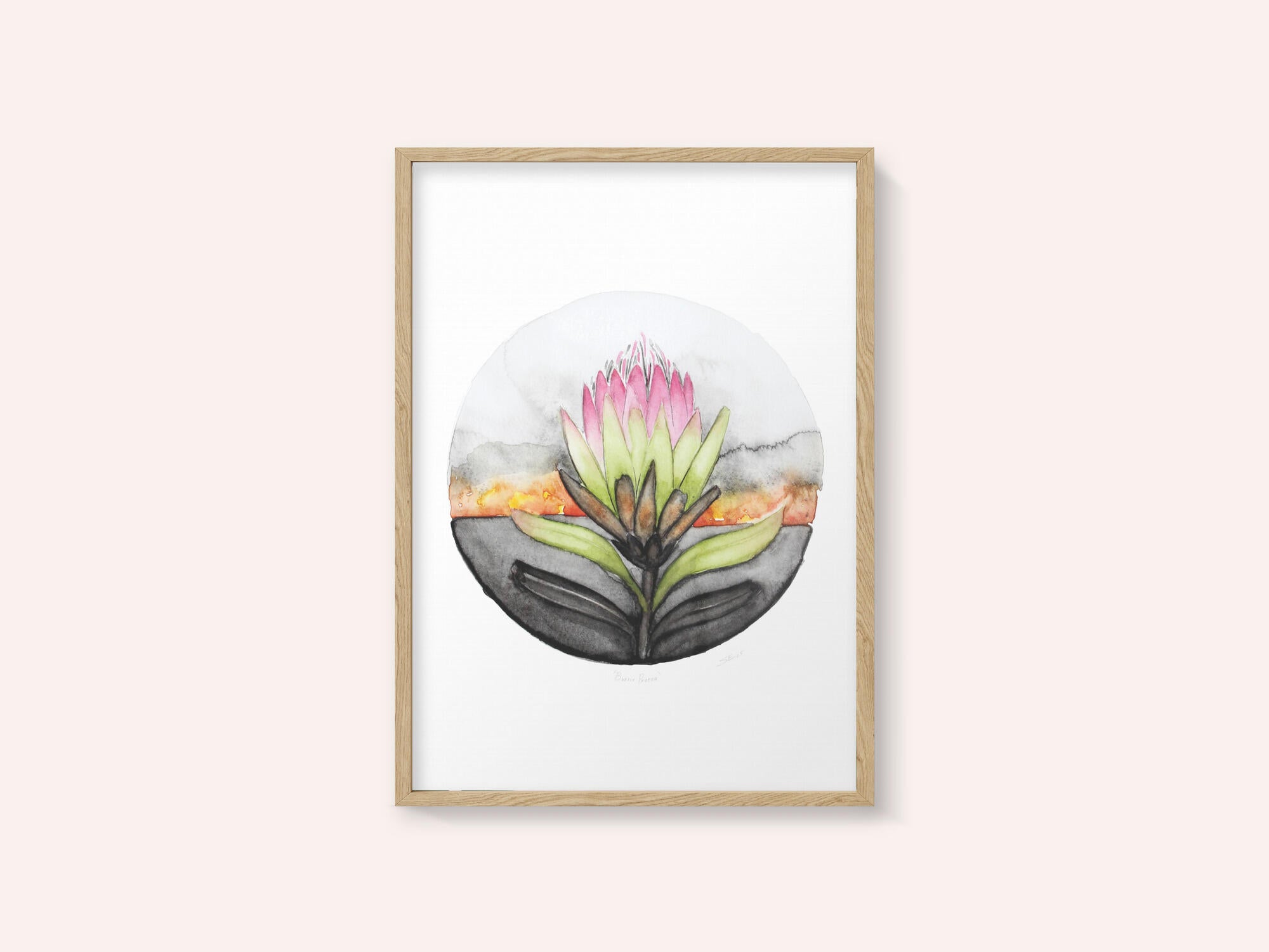 Protea Sunset Bloom