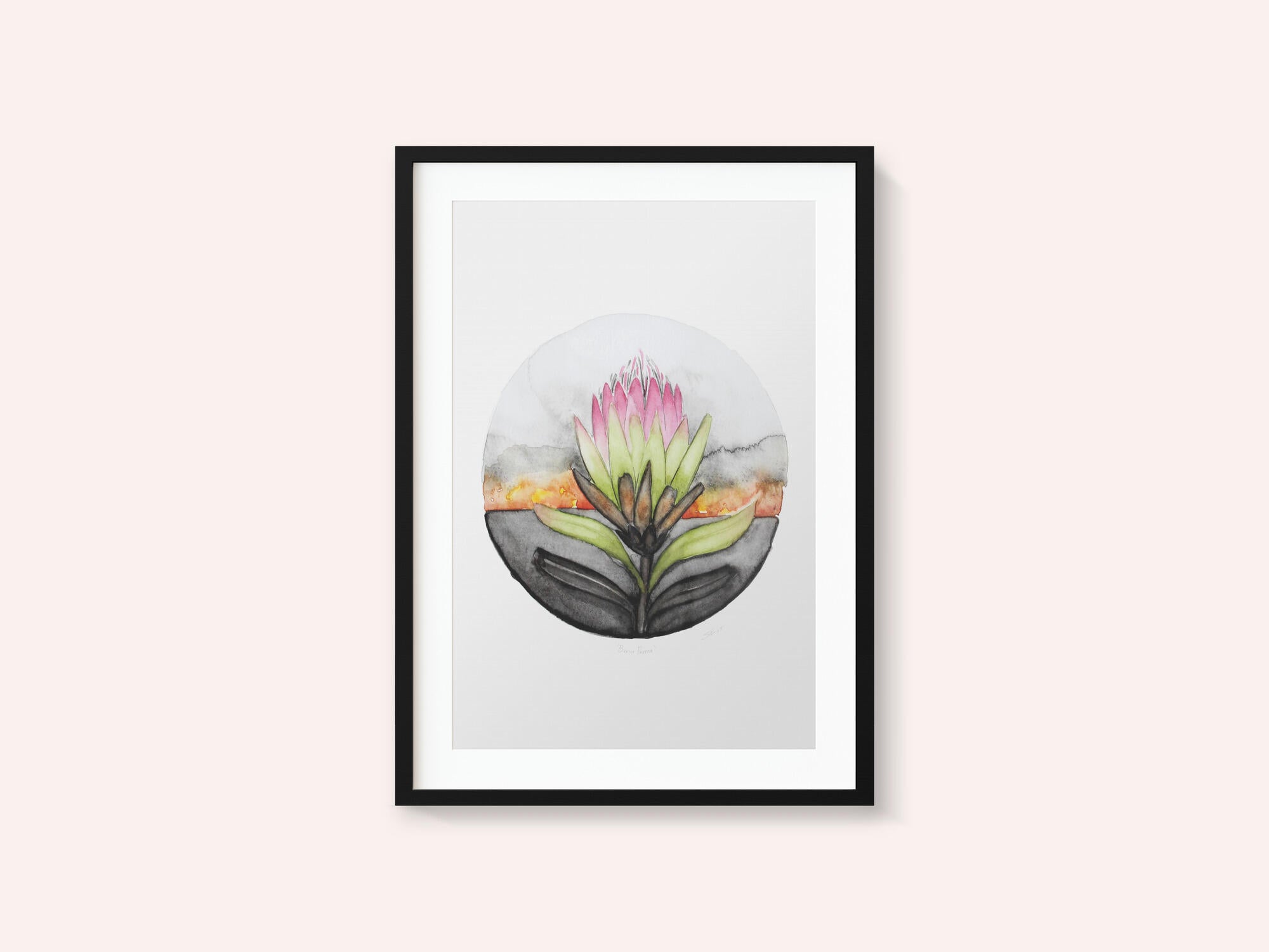 Protea Sunset Bloom