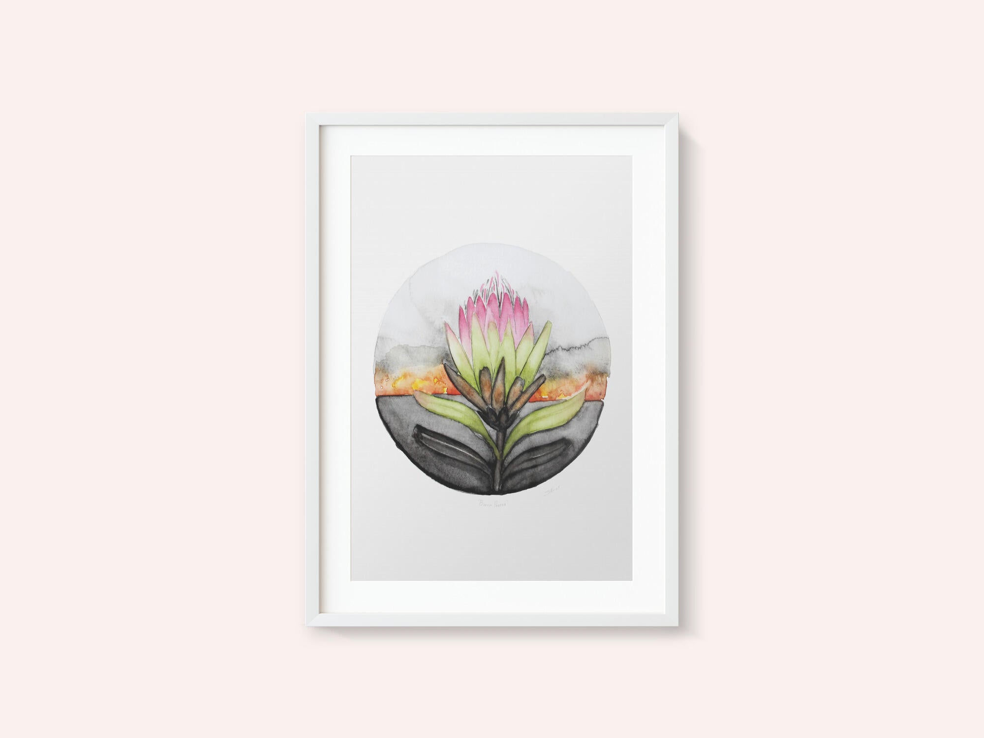 Protea Sunset Bloom