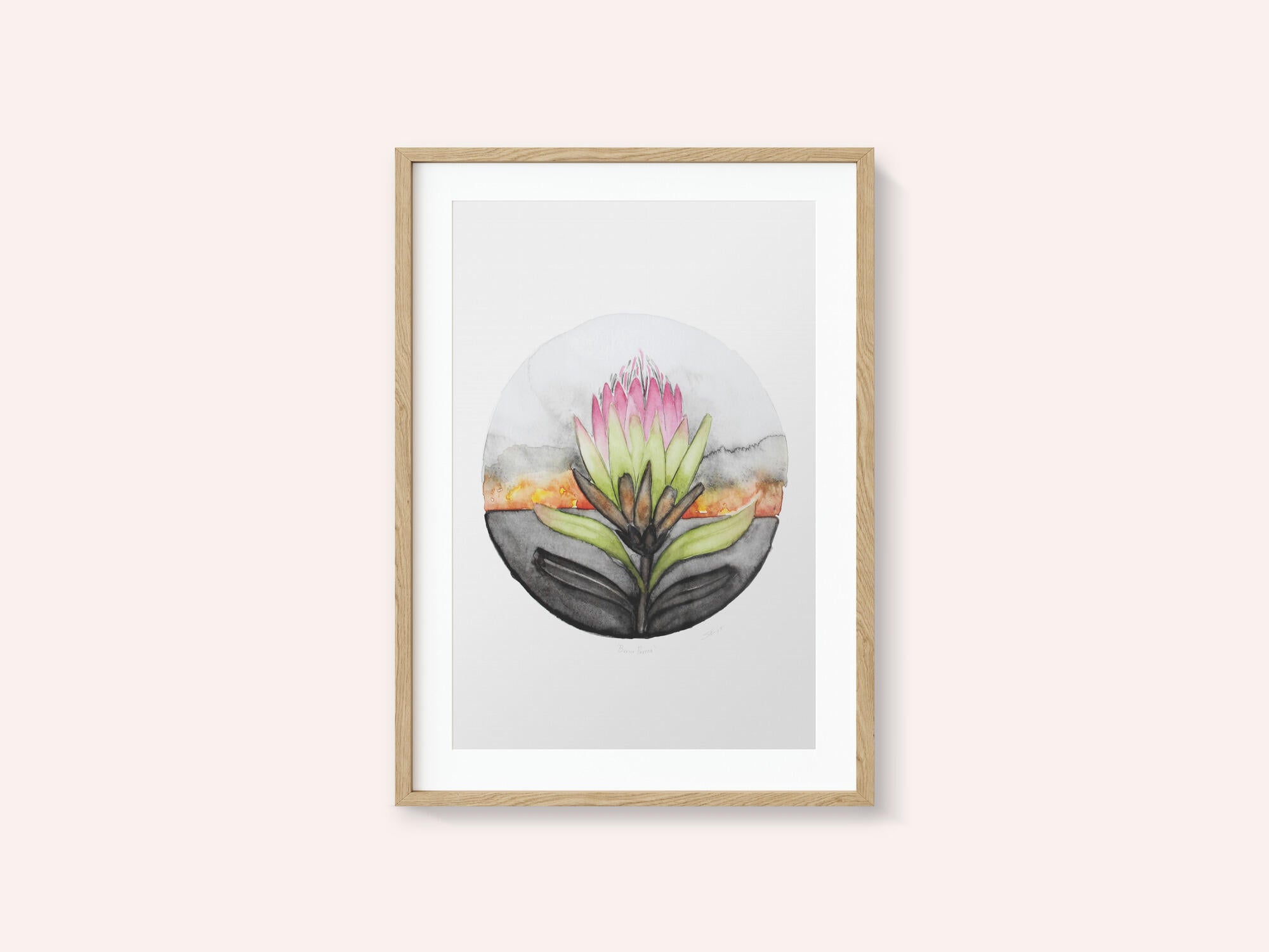 Protea Sunset Bloom