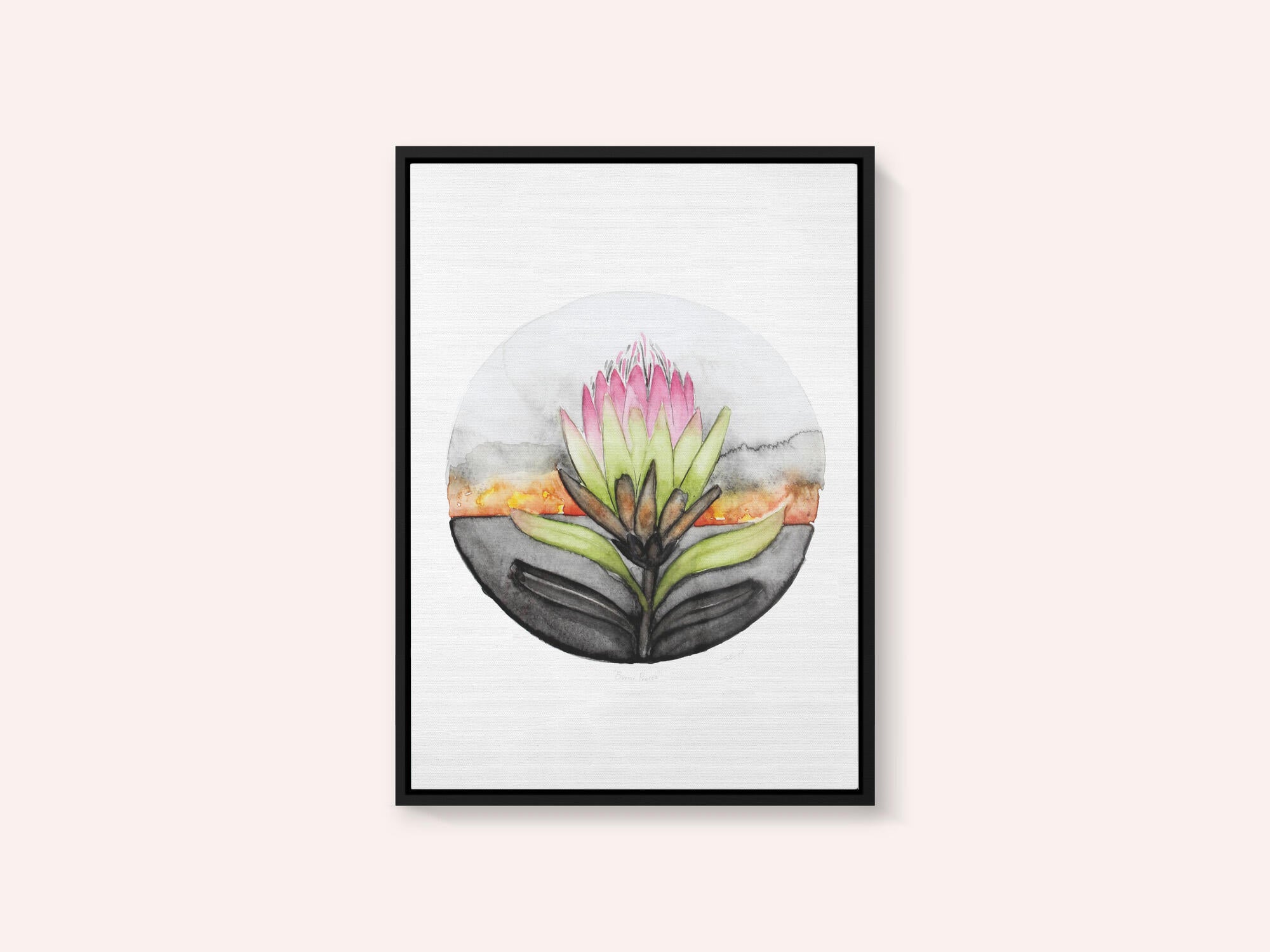 Protea Sunset Bloom