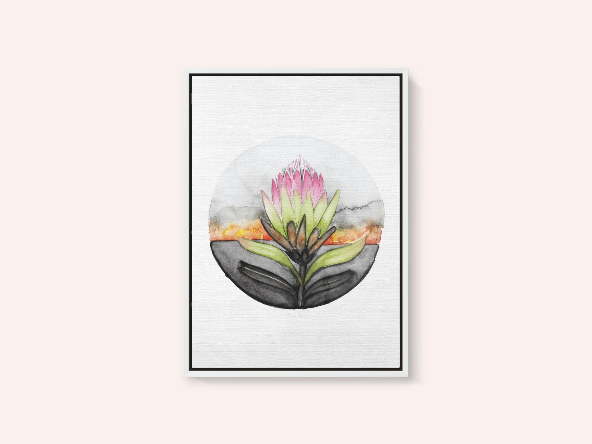 Protea Sunset Bloom