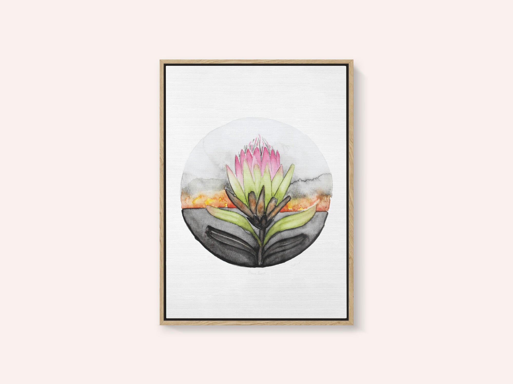 Protea Sunset Bloom