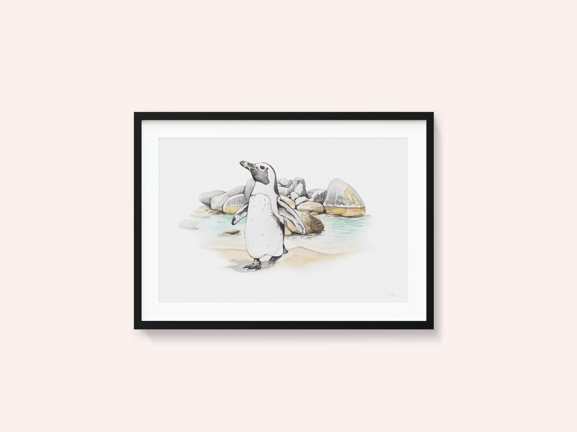 African Penguin Coast