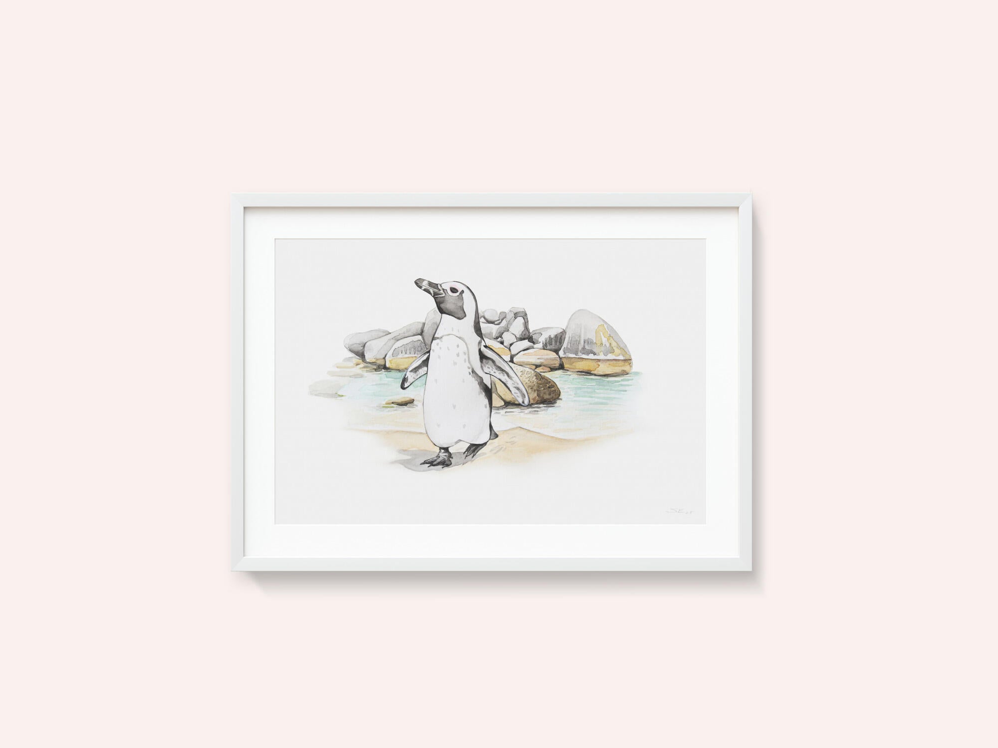 African Penguin Coast
