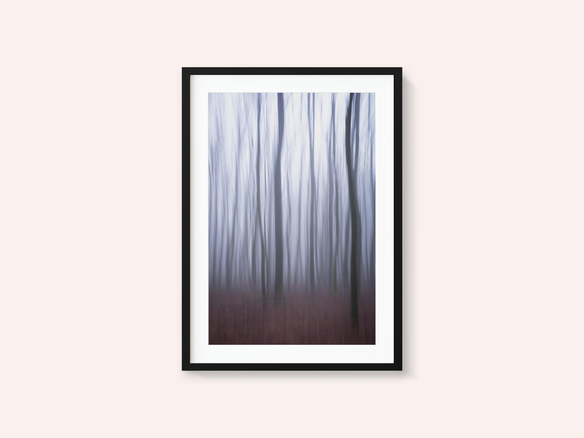 Misty Forest Blur