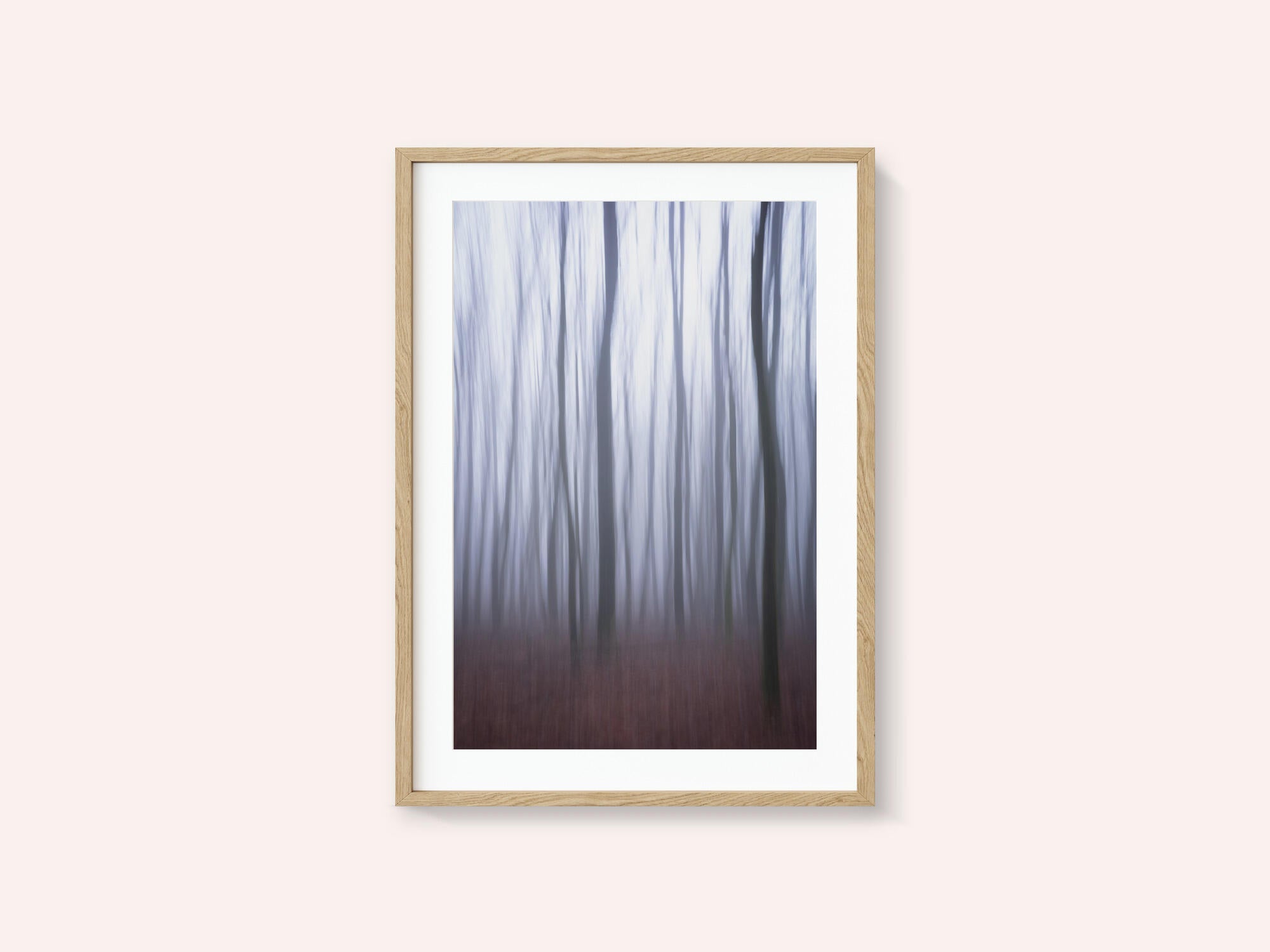 Misty Forest Blur
