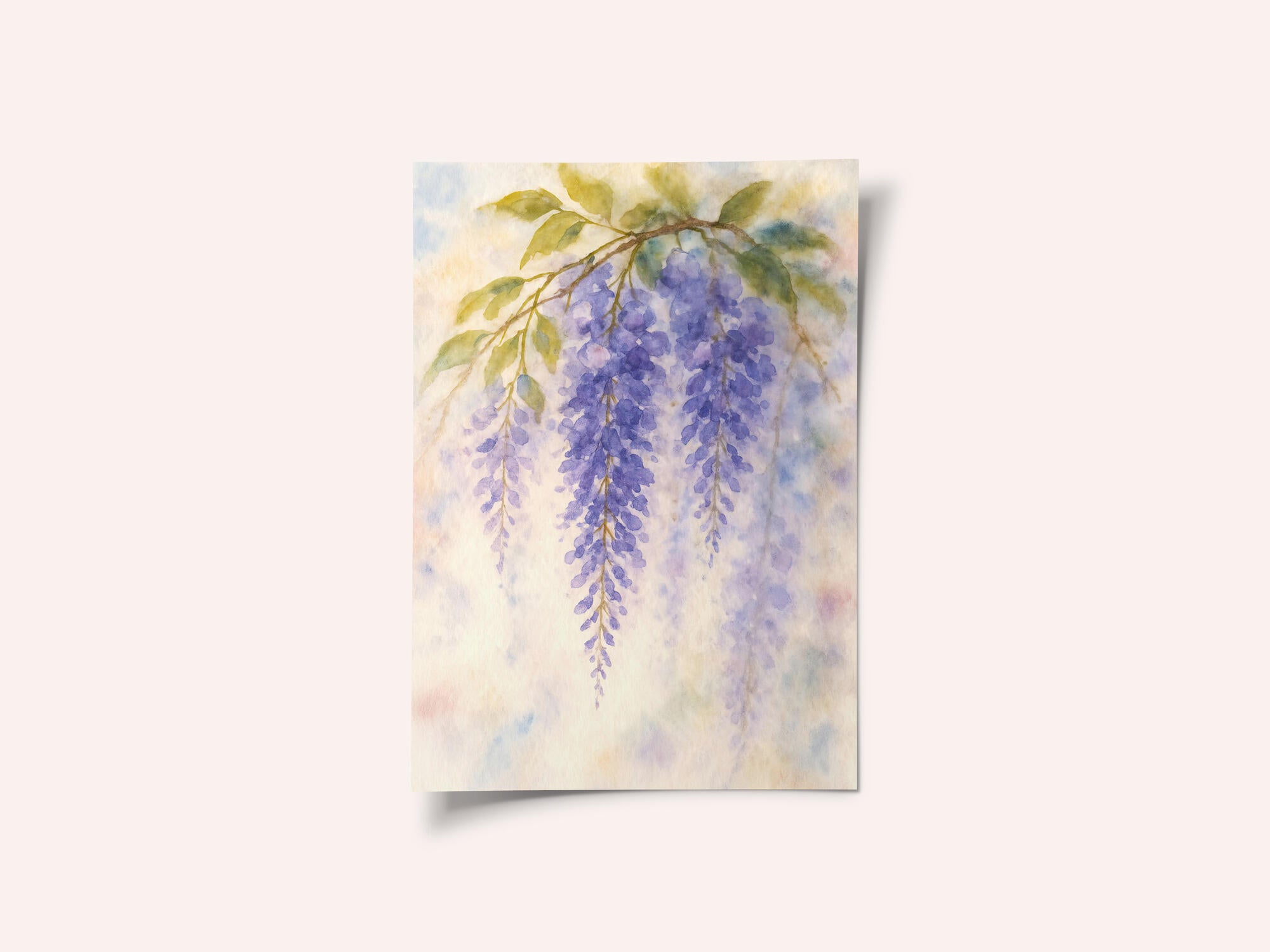 Hanging Wisteria In Soft Pastel Colours