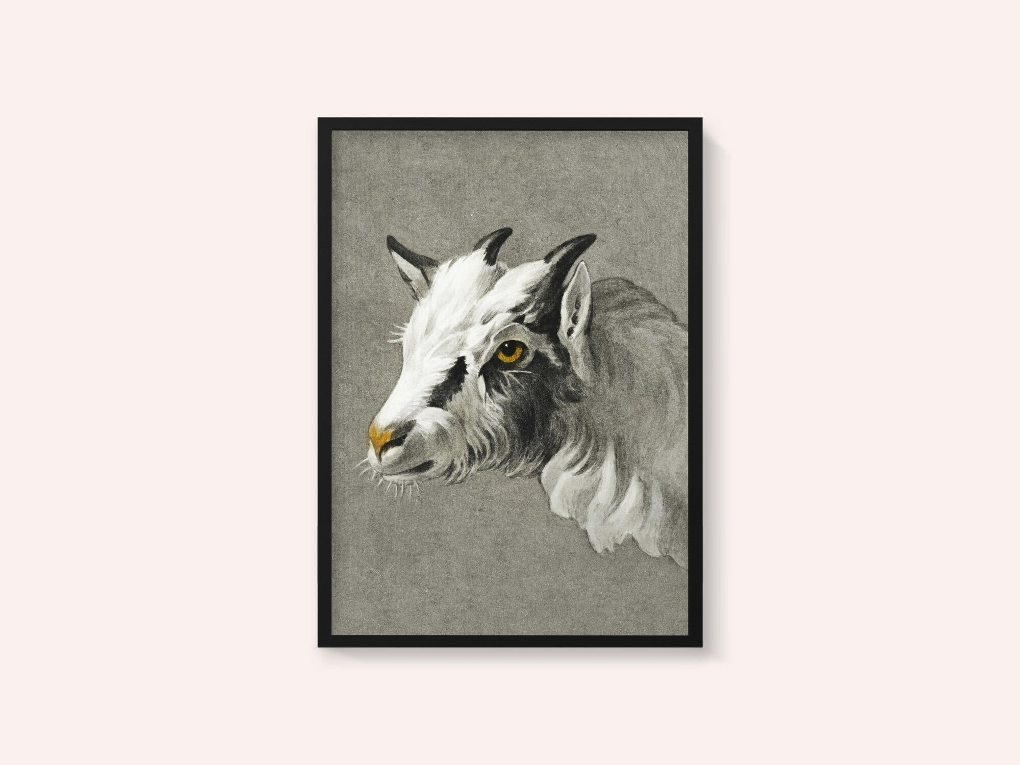 Head of a Goat Portrait Mode