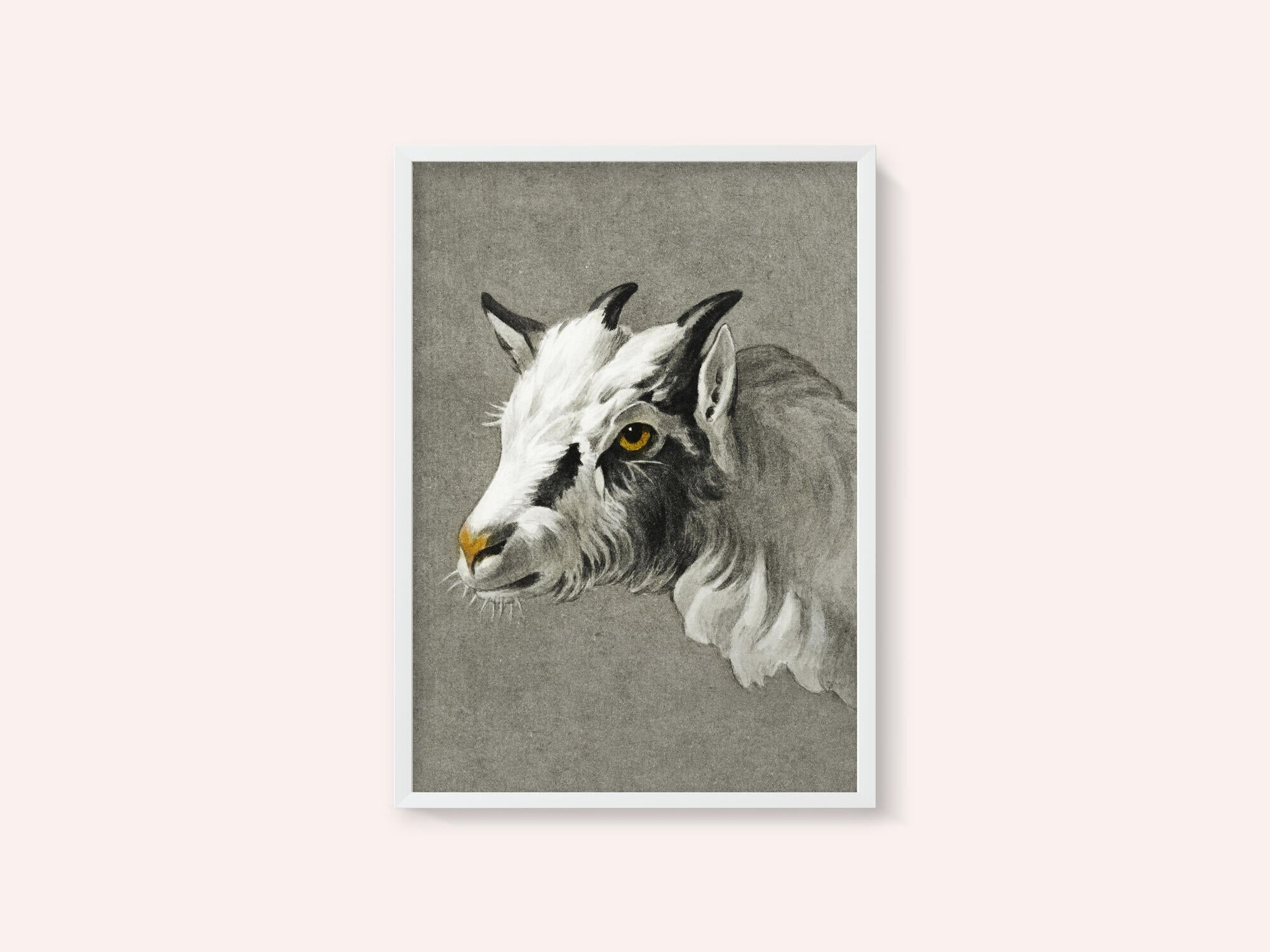 Head of a Goat Portrait Mode