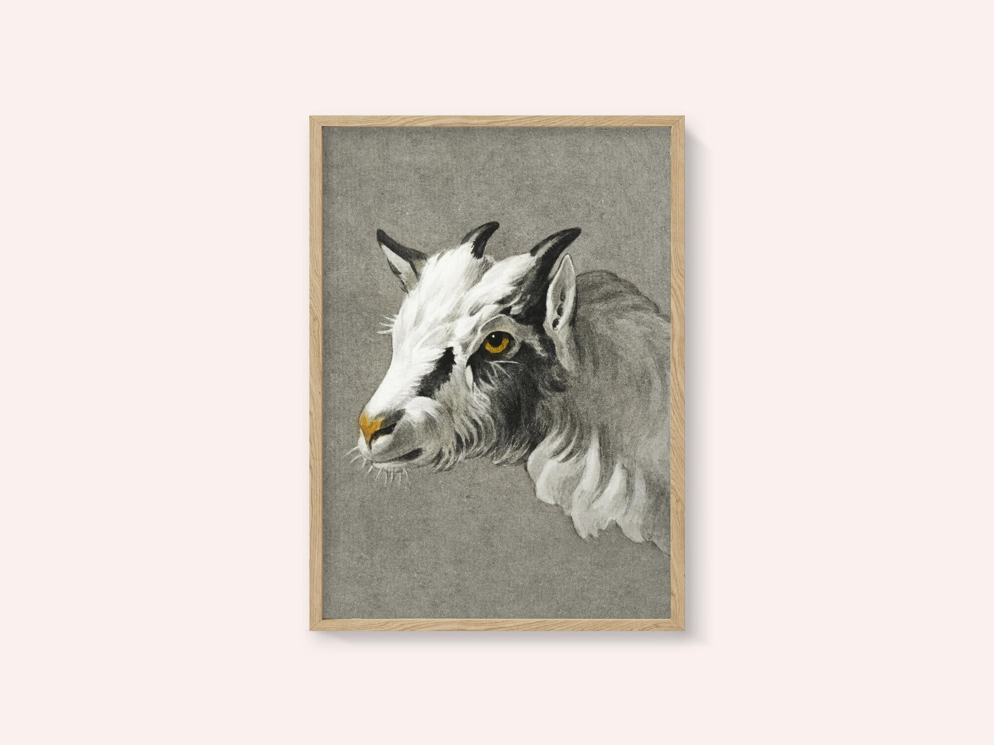 Head of a Goat Portrait Mode