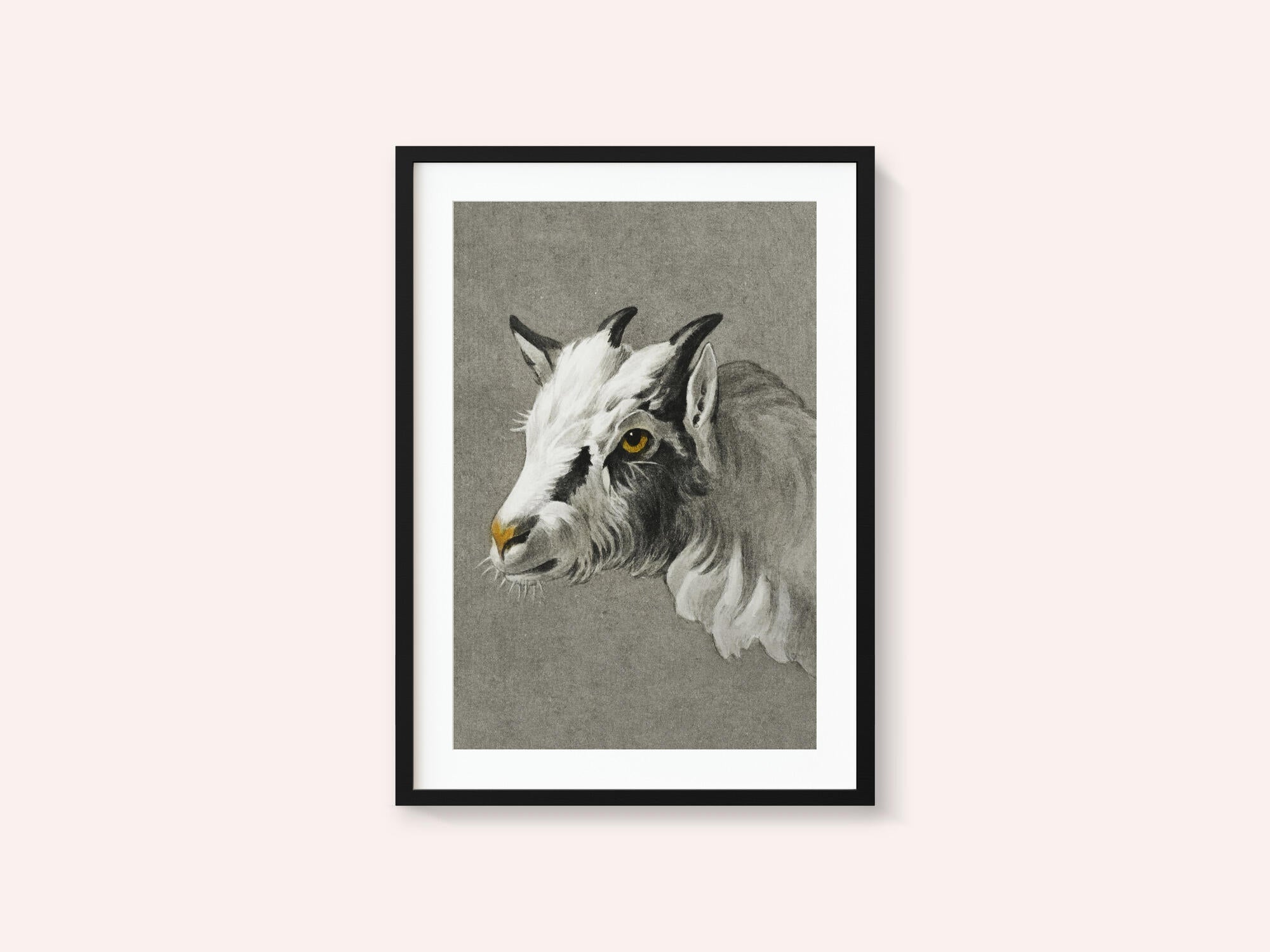 Head of a Goat Portrait Mode