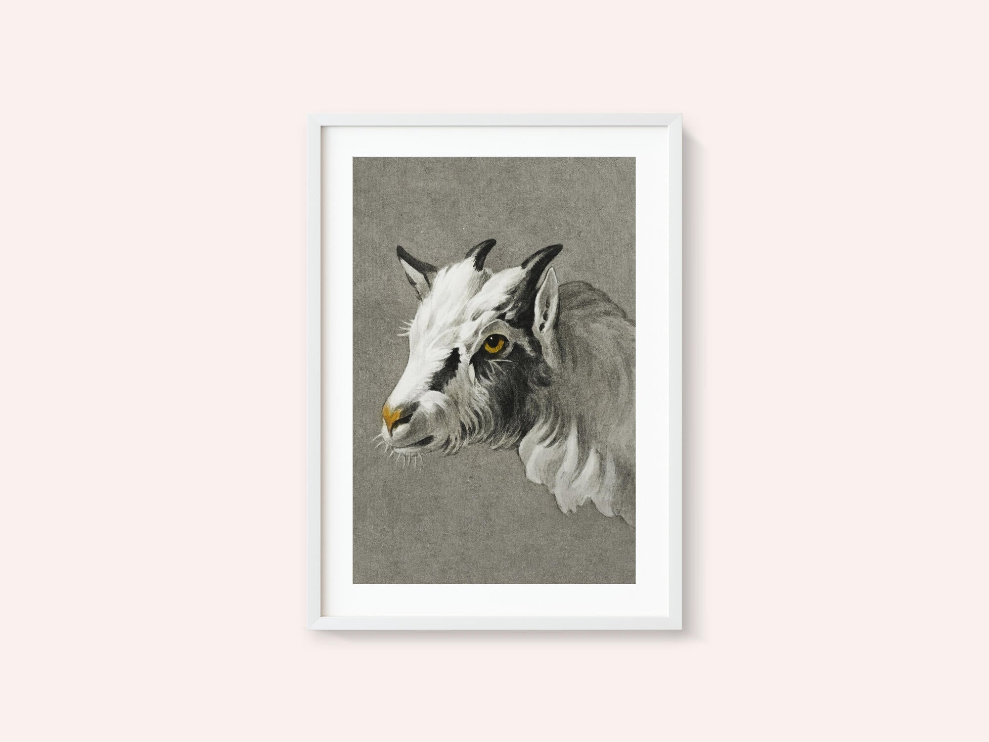 Head of a Goat Portrait Mode