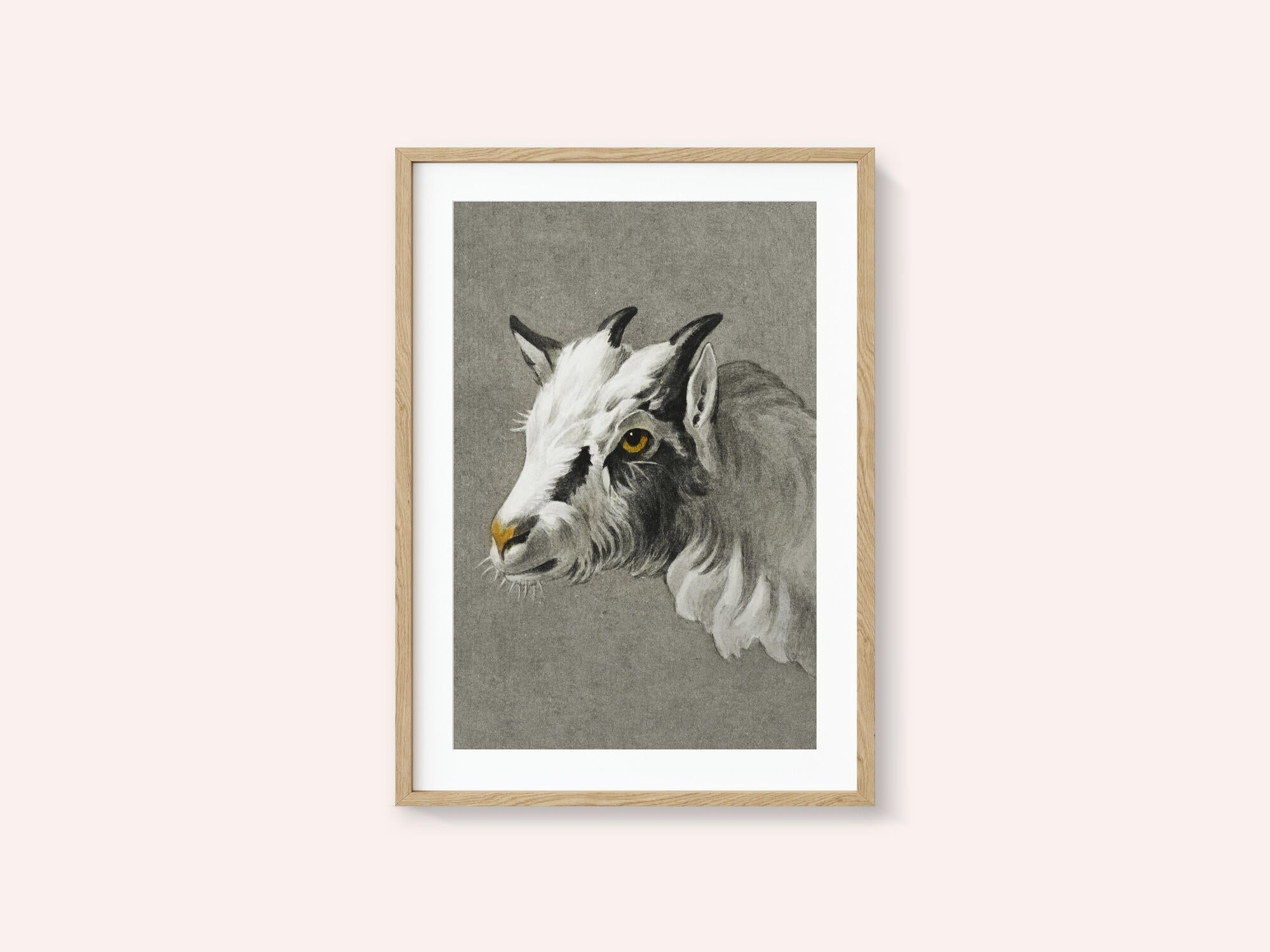 Head of a Goat Portrait Mode