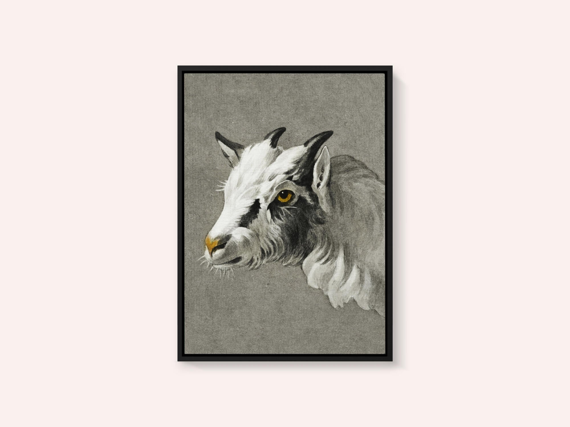 Head of a Goat Portrait Mode