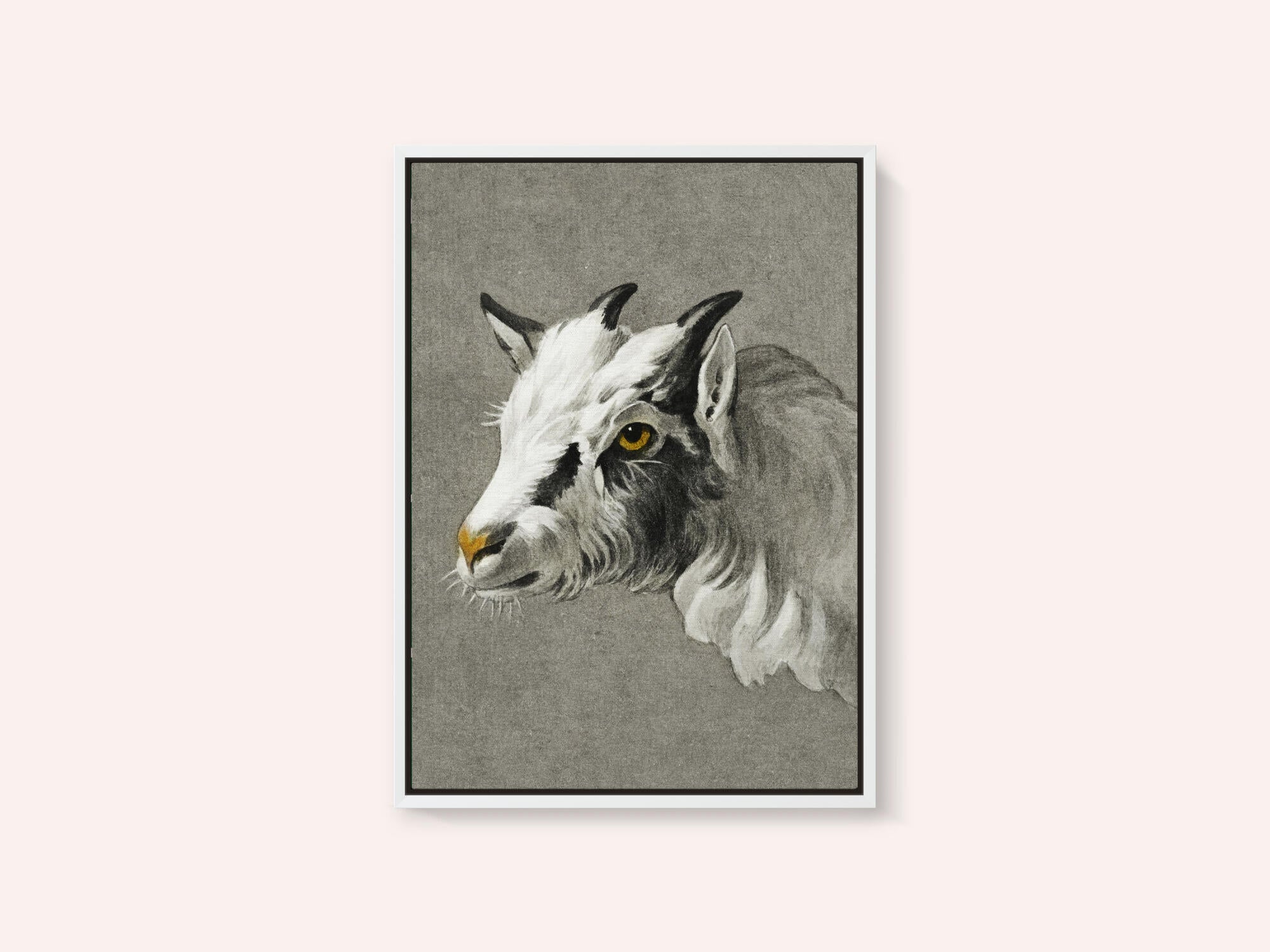 Head of a Goat Portrait Mode