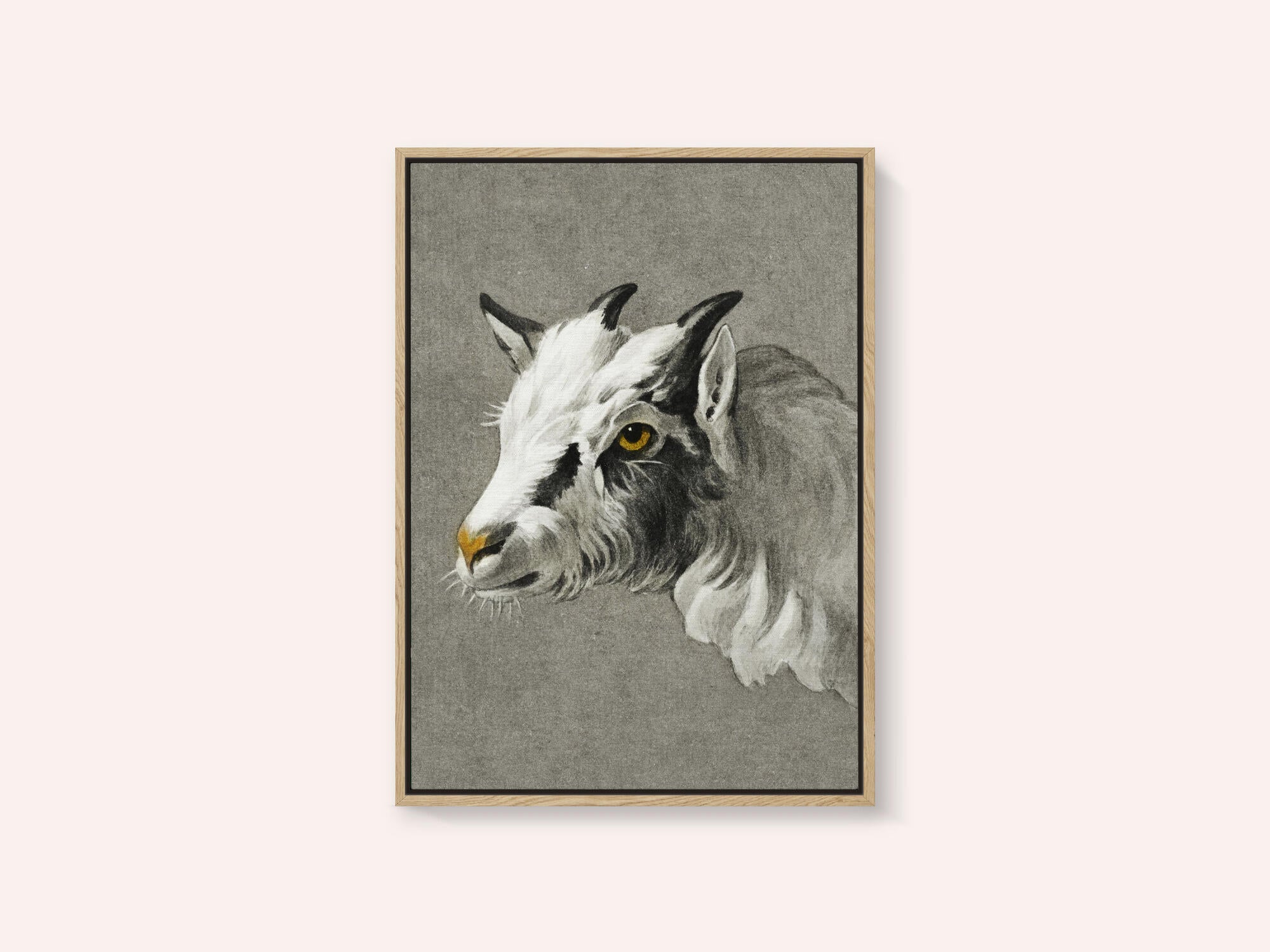 Head of a Goat Portrait Mode