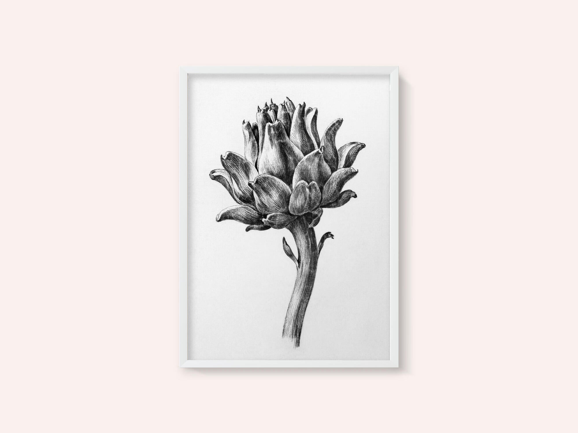 Artichoke By Jean Bernard