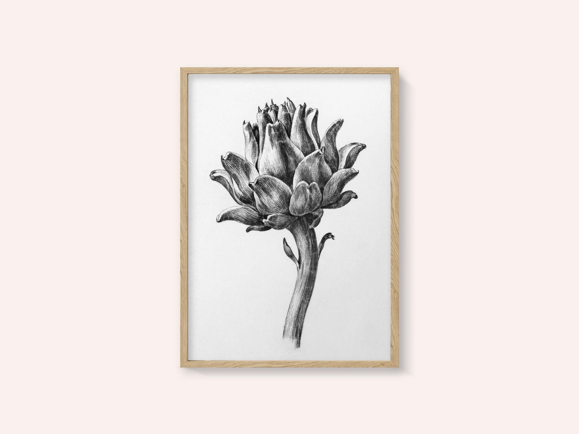 Artichoke By Jean Bernard