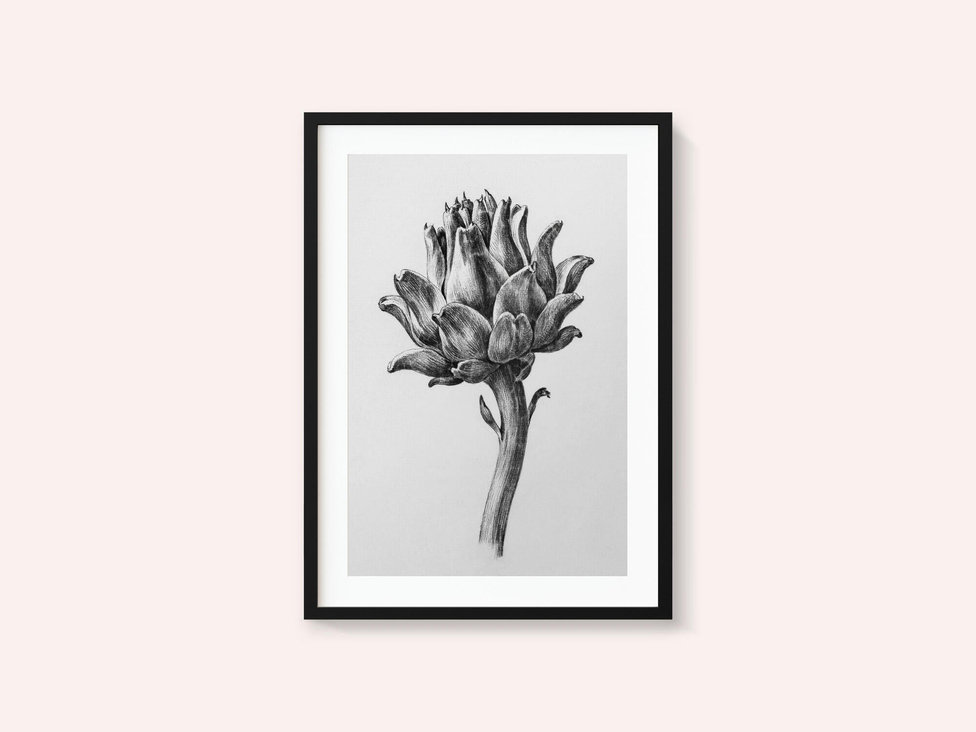 Artichoke By Jean Bernard
