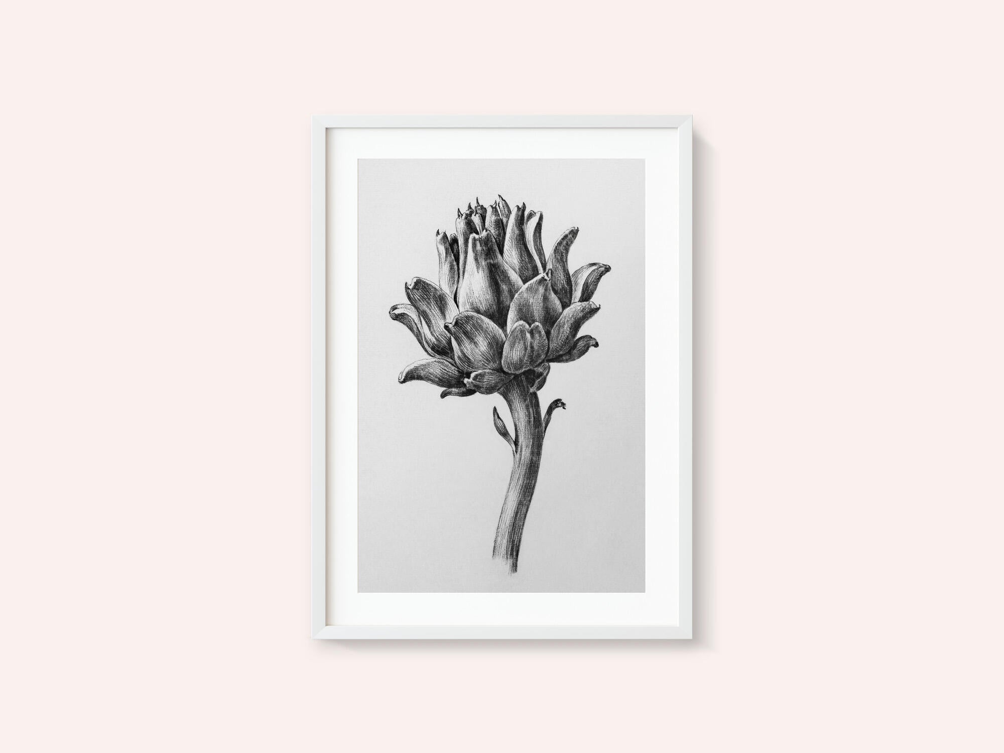 Artichoke By Jean Bernard
