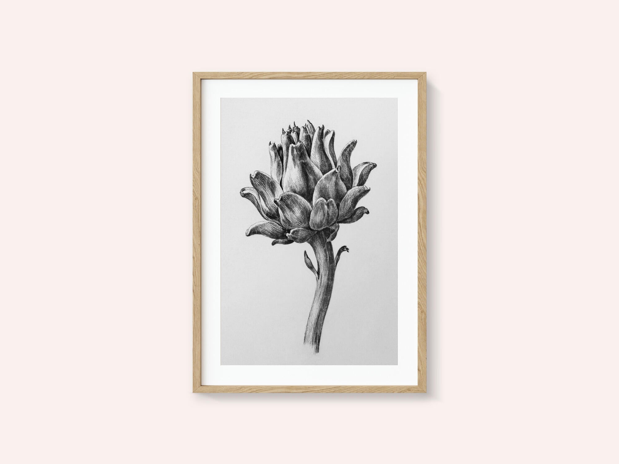 Artichoke By Jean Bernard