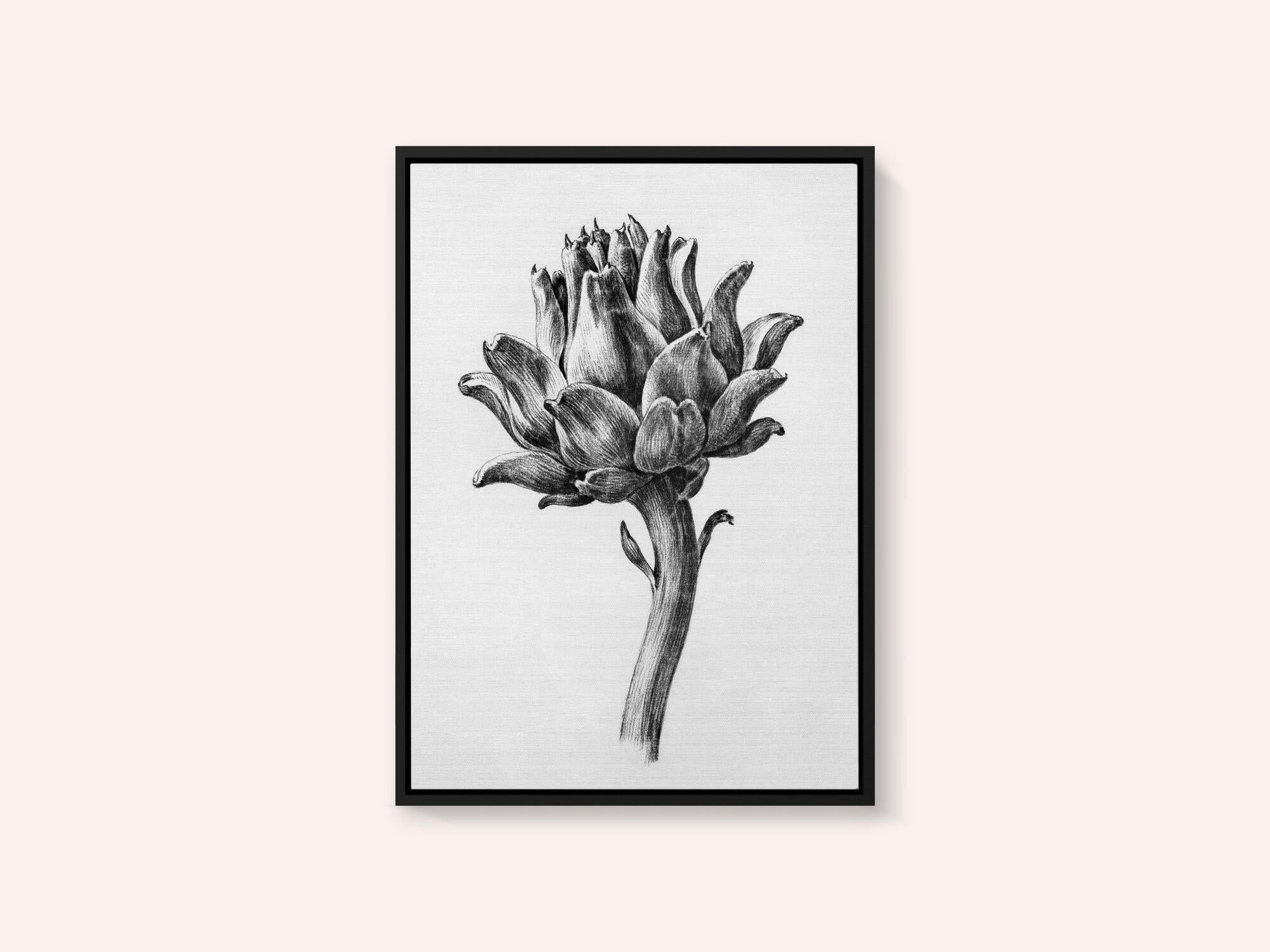 Artichoke By Jean Bernard
