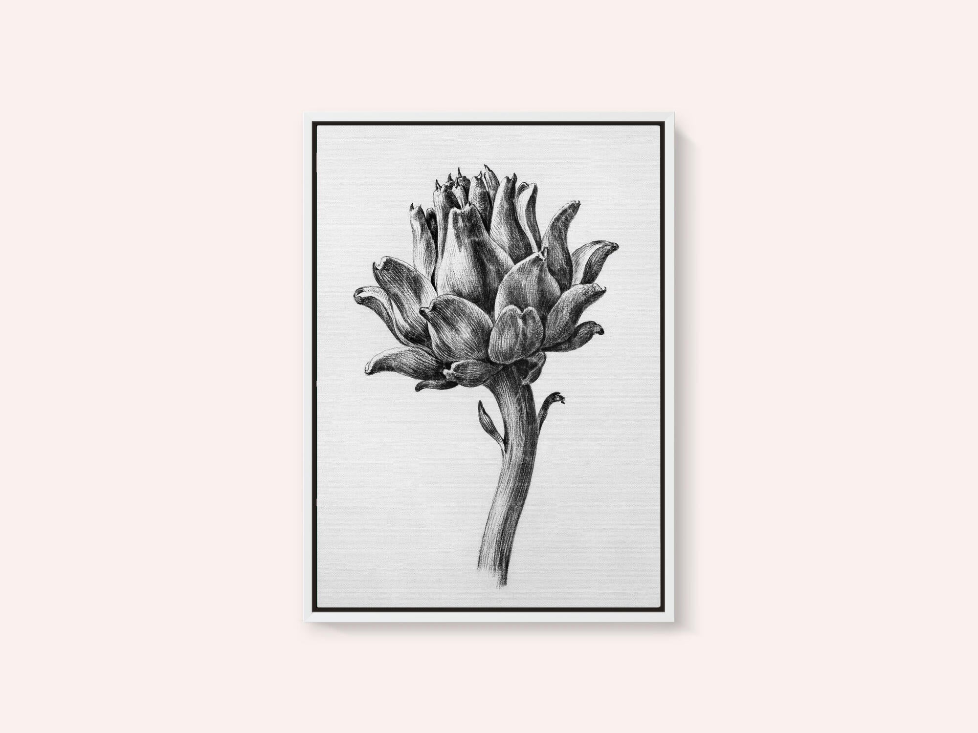 Artichoke By Jean Bernard