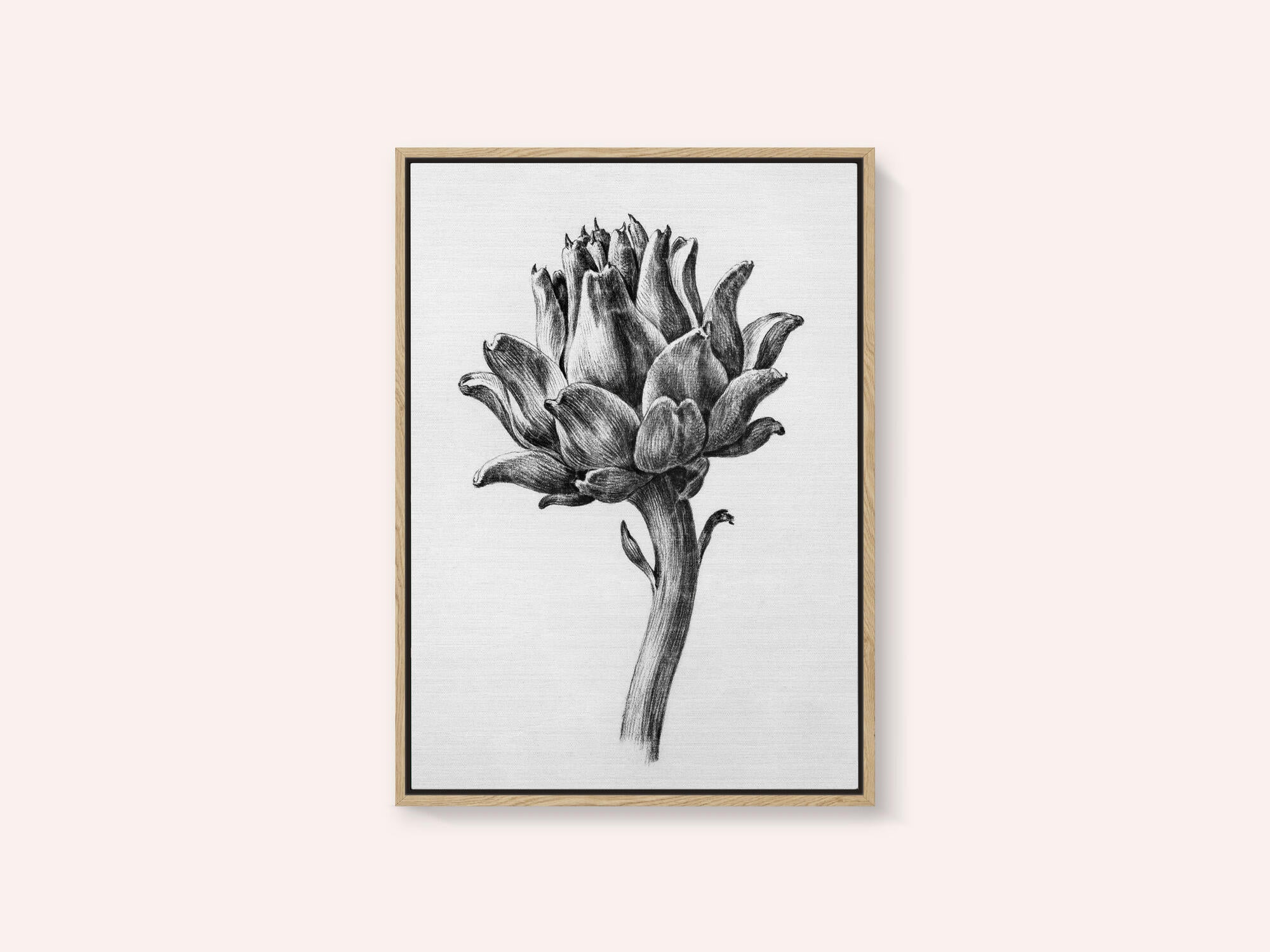 Artichoke By Jean Bernard