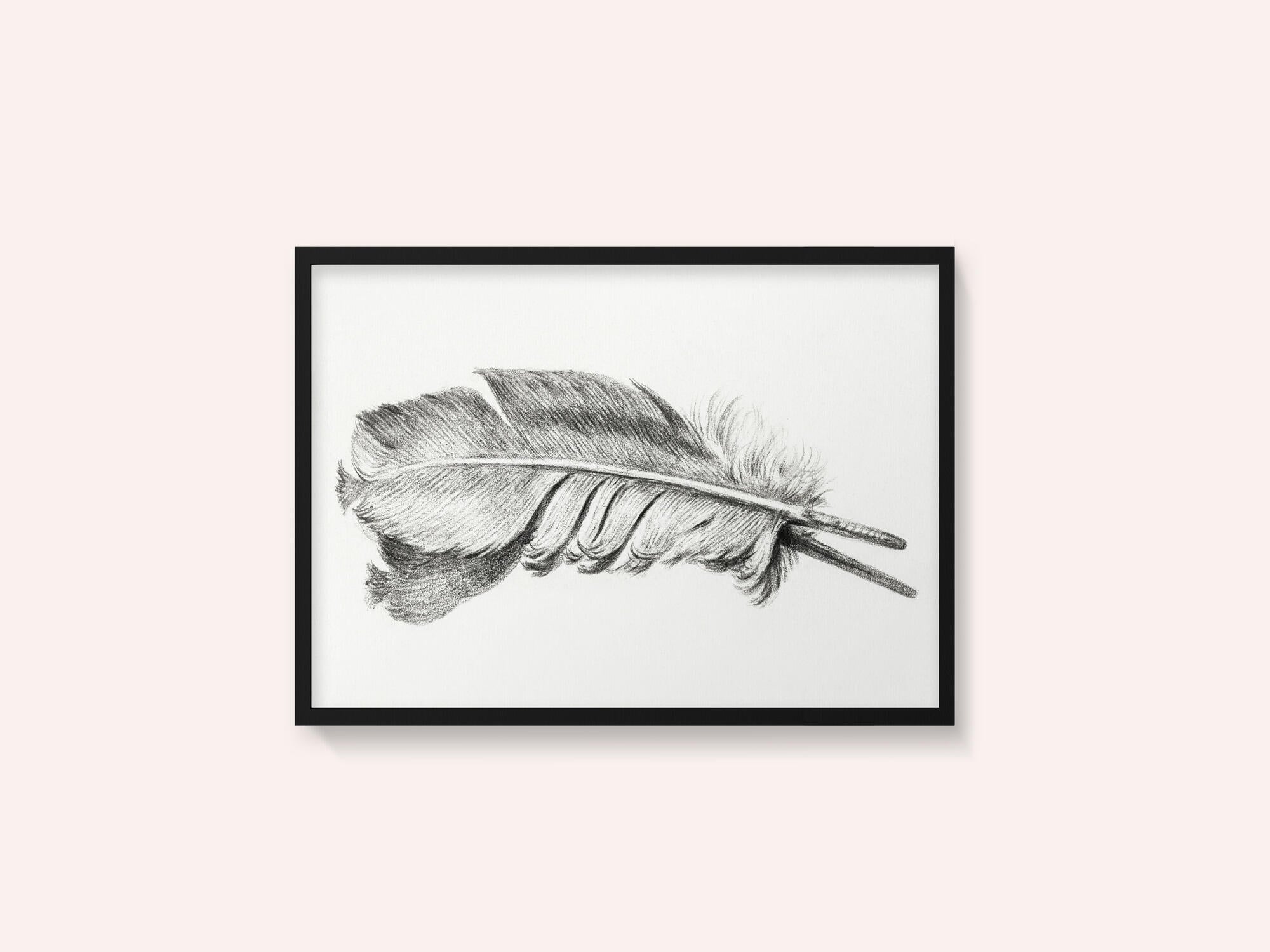 Feather
