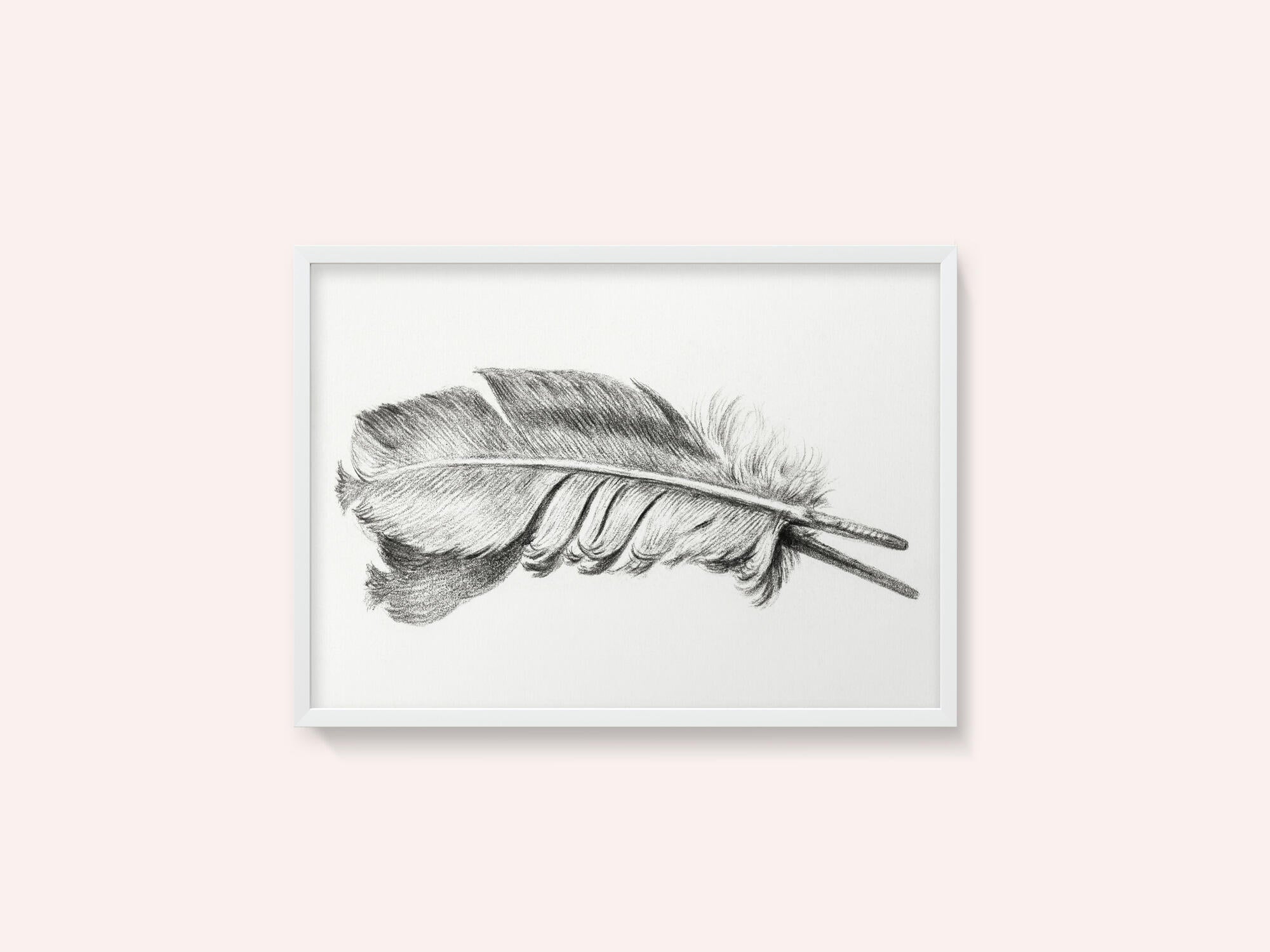 Feather