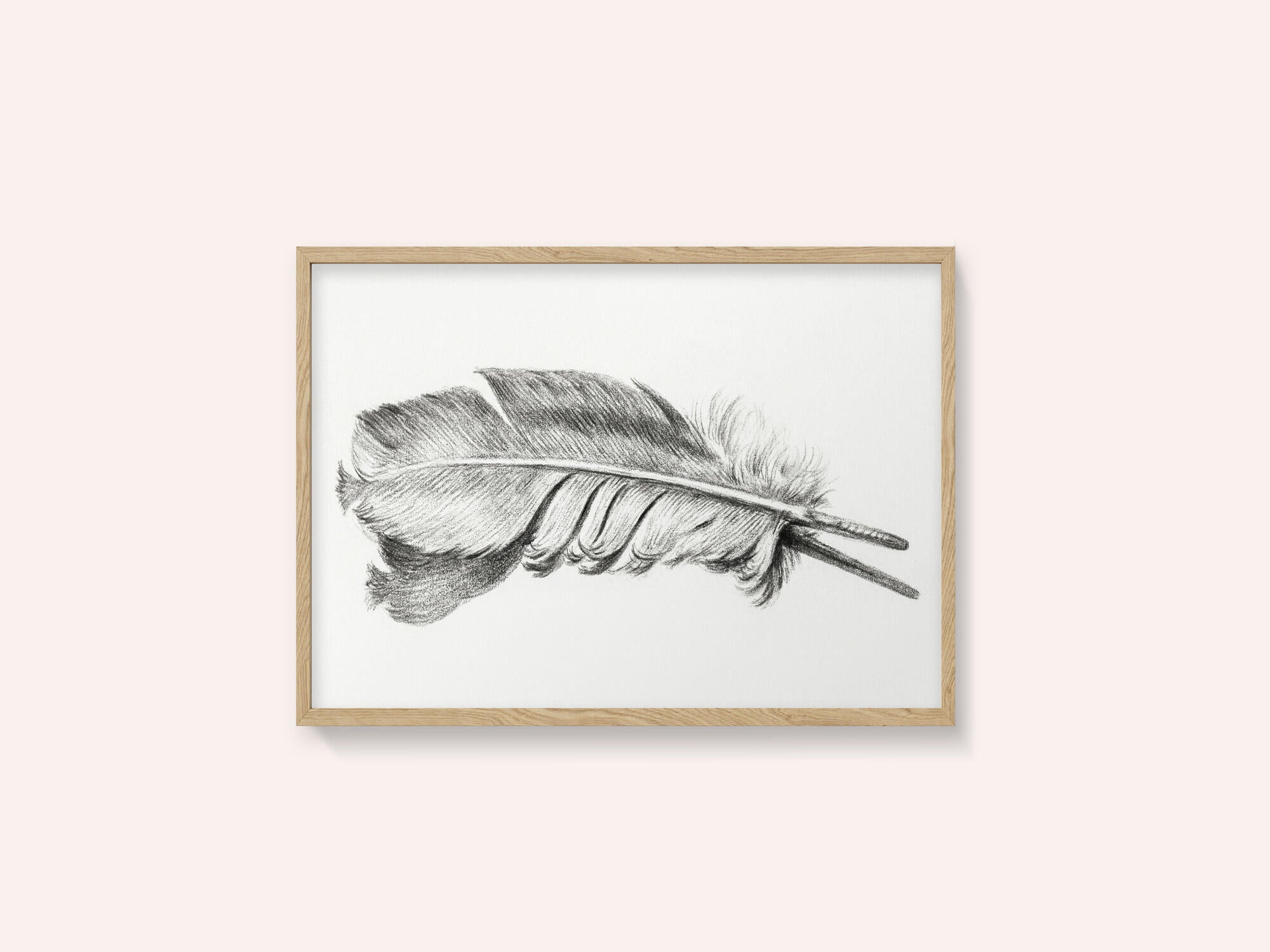 Feather