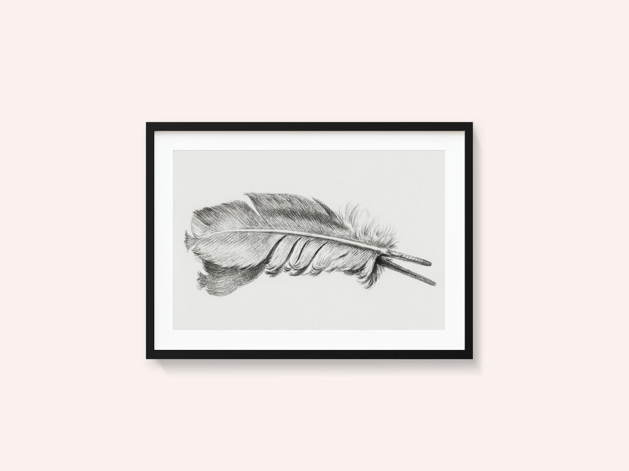 Feather