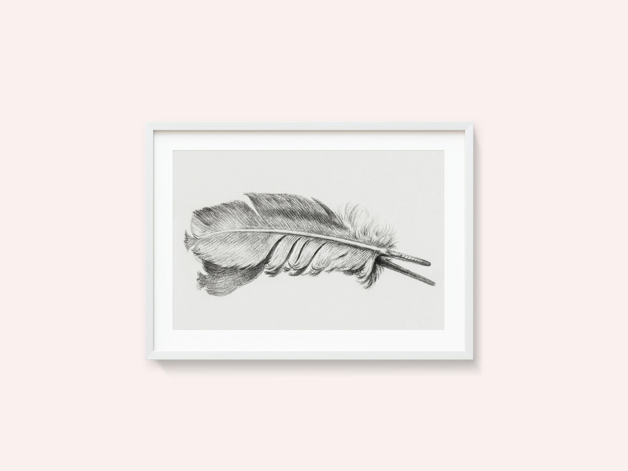 Feather