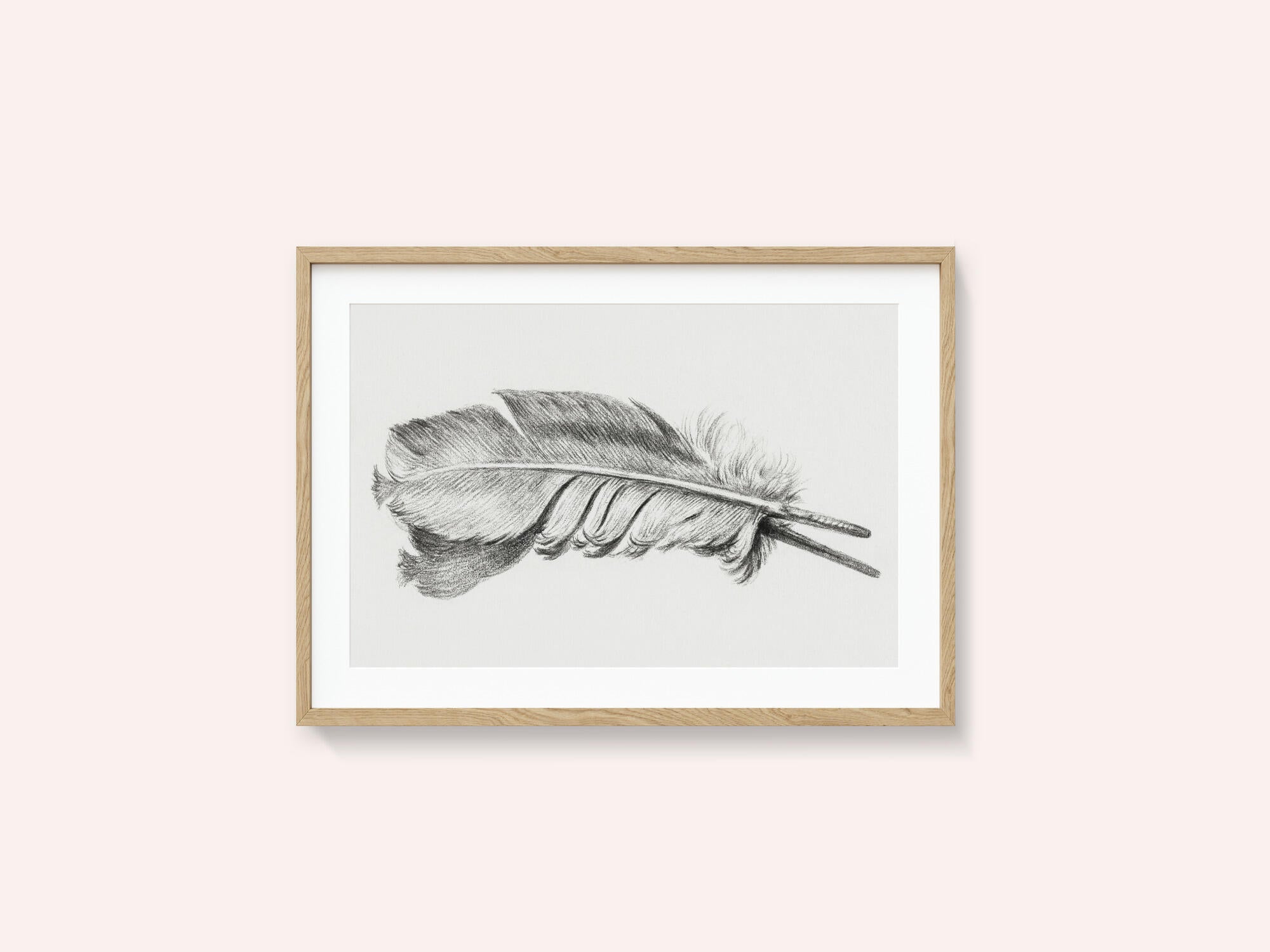 Feather