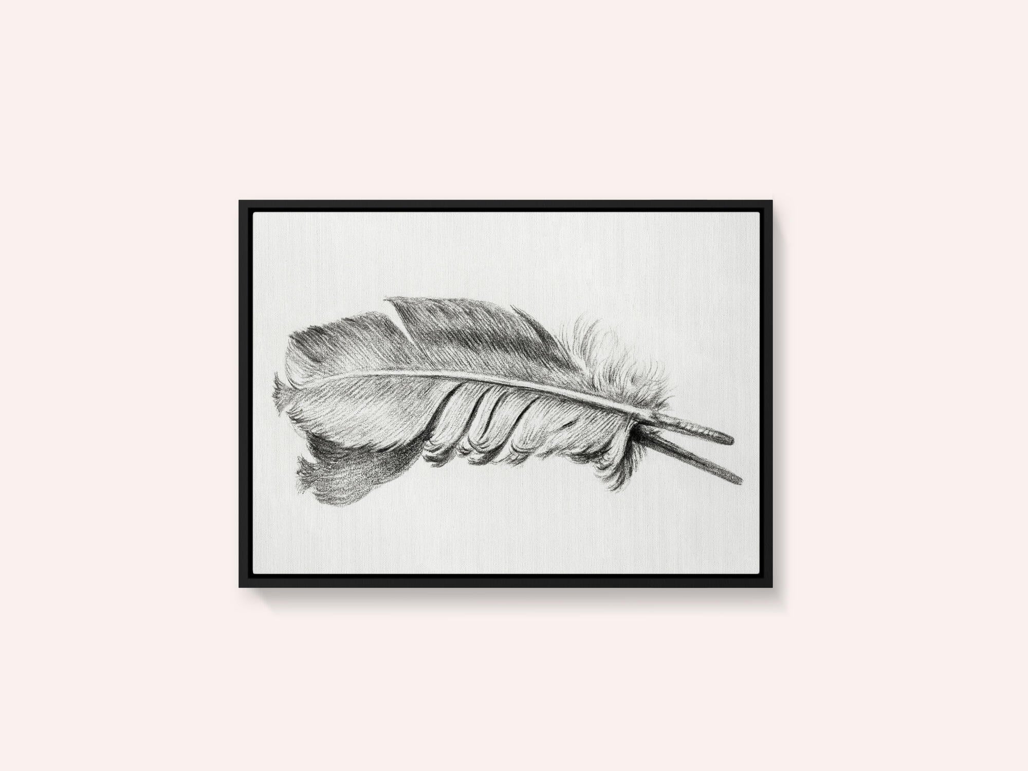 Feather