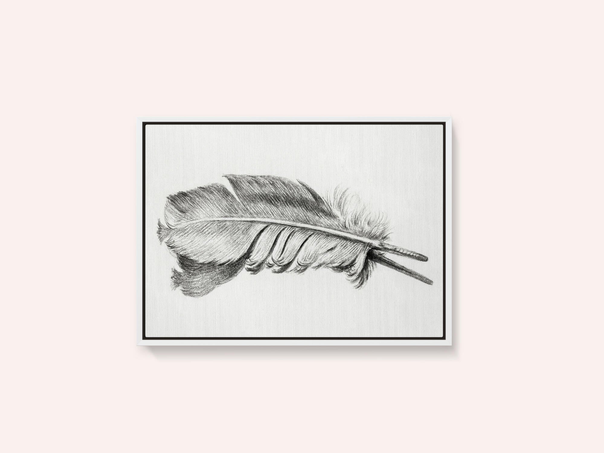 Feather