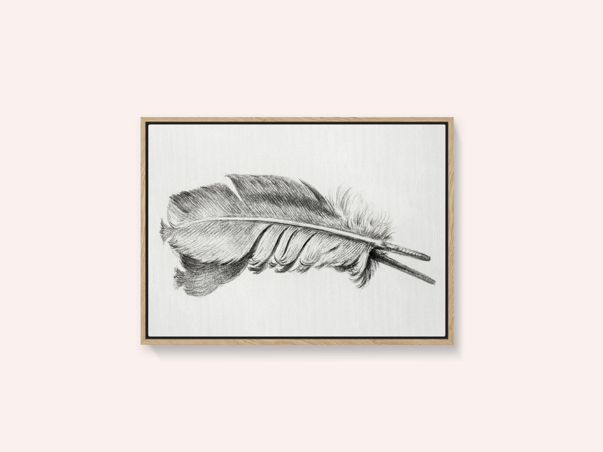 Feather