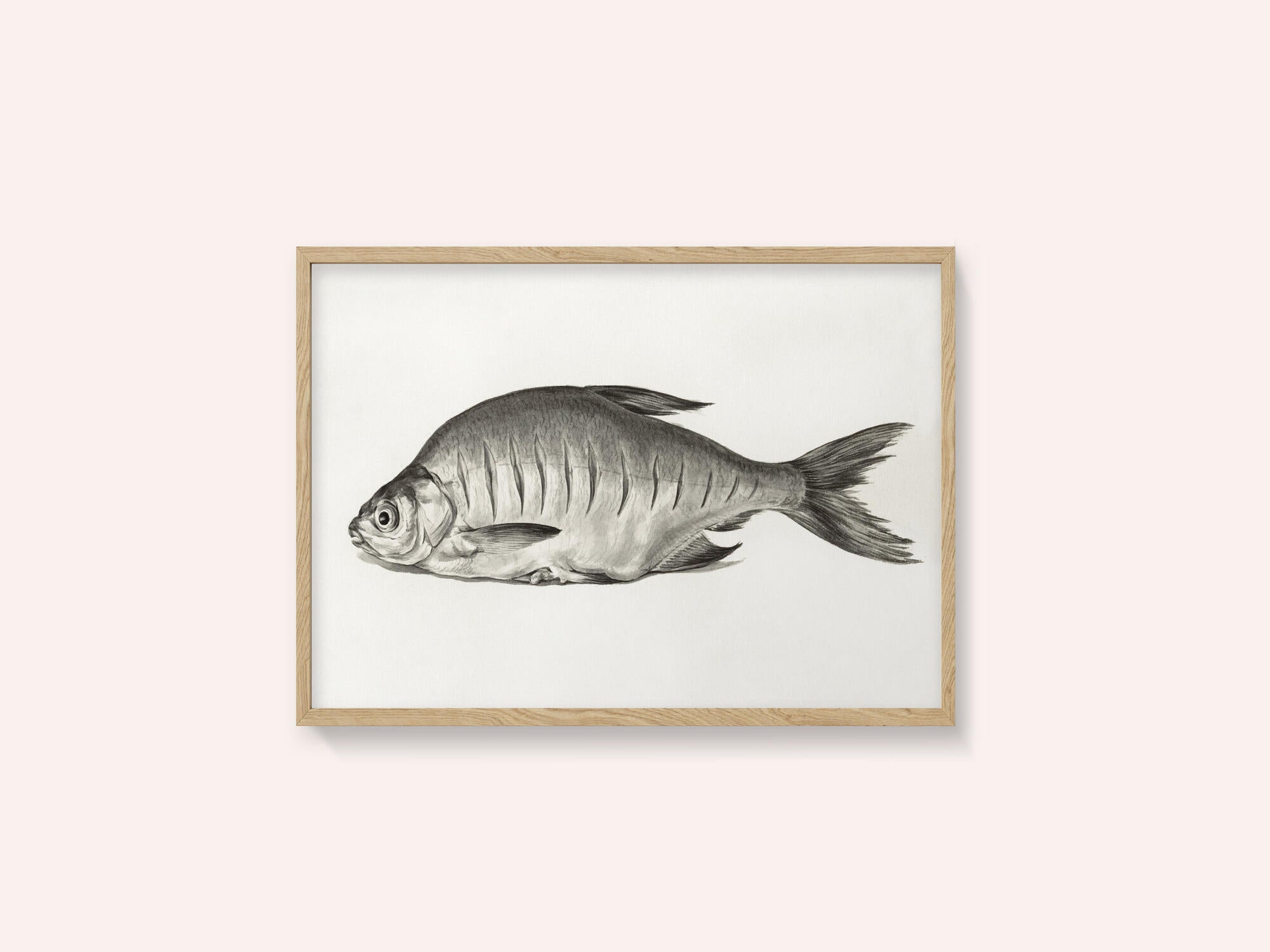 Fish (1775–1833)