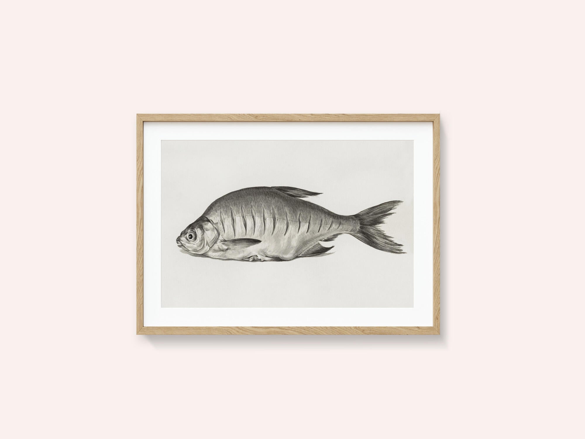 Fish (1775–1833)