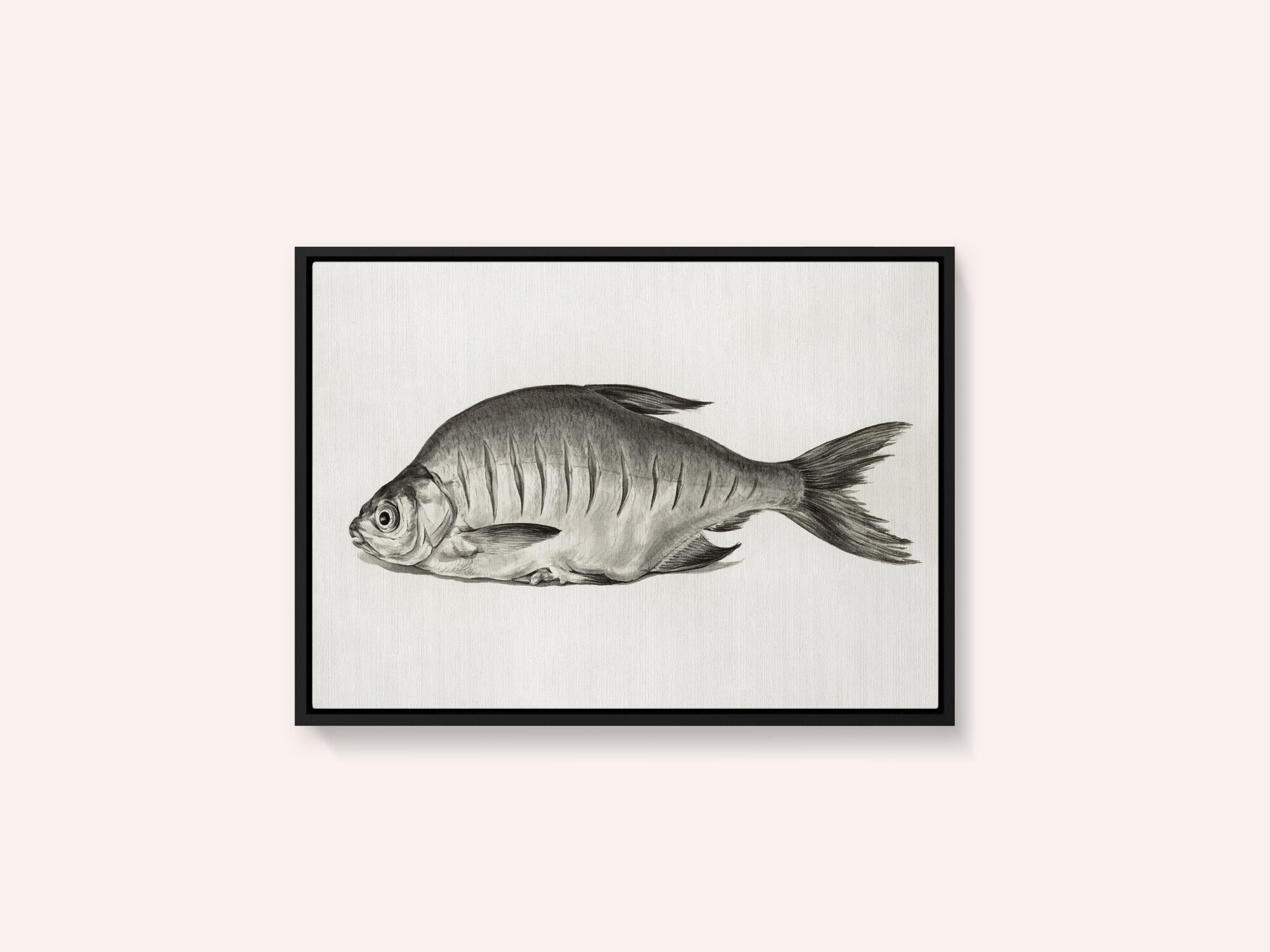 Fish (1775–1833)