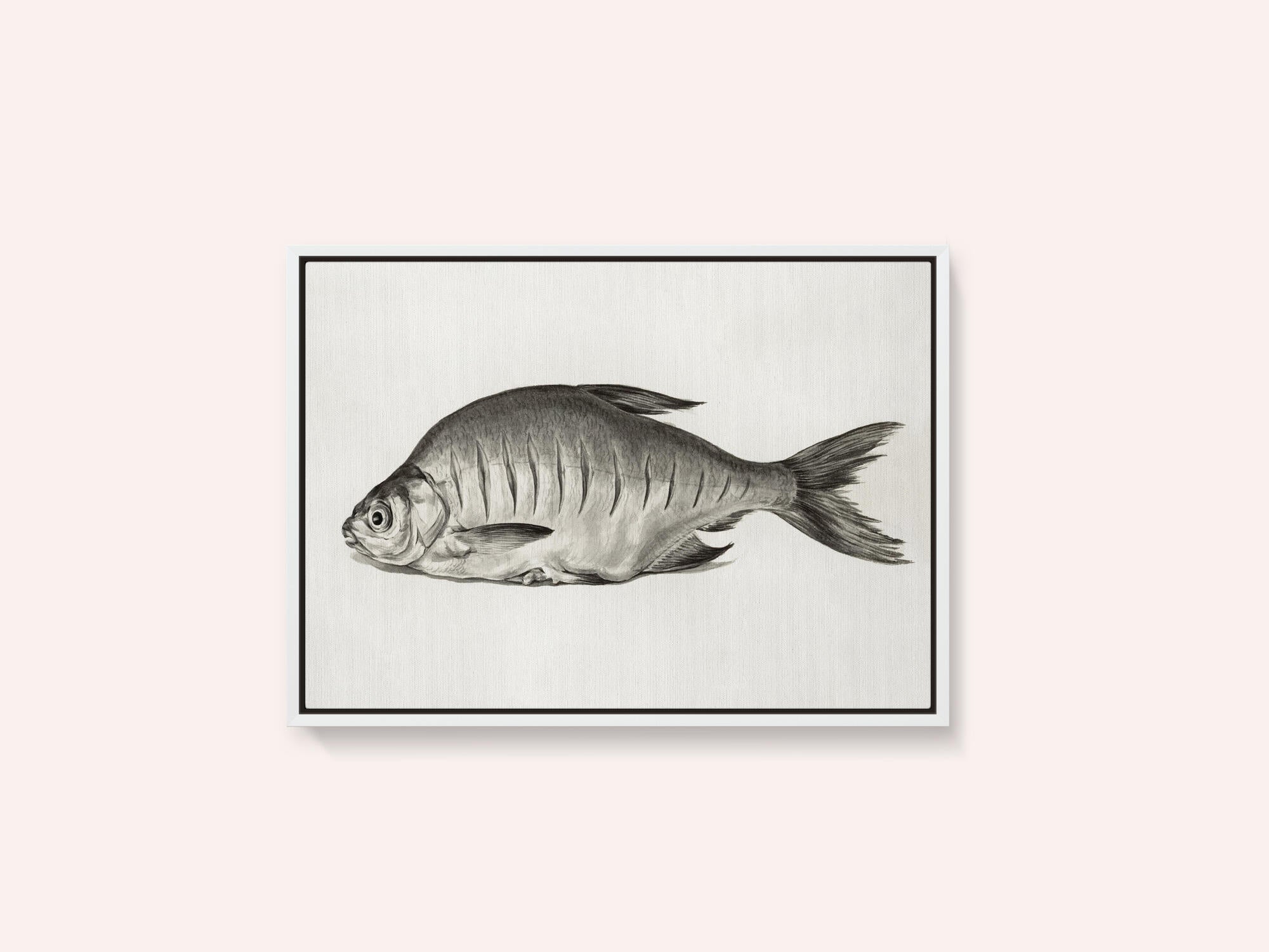 Fish (1775–1833)