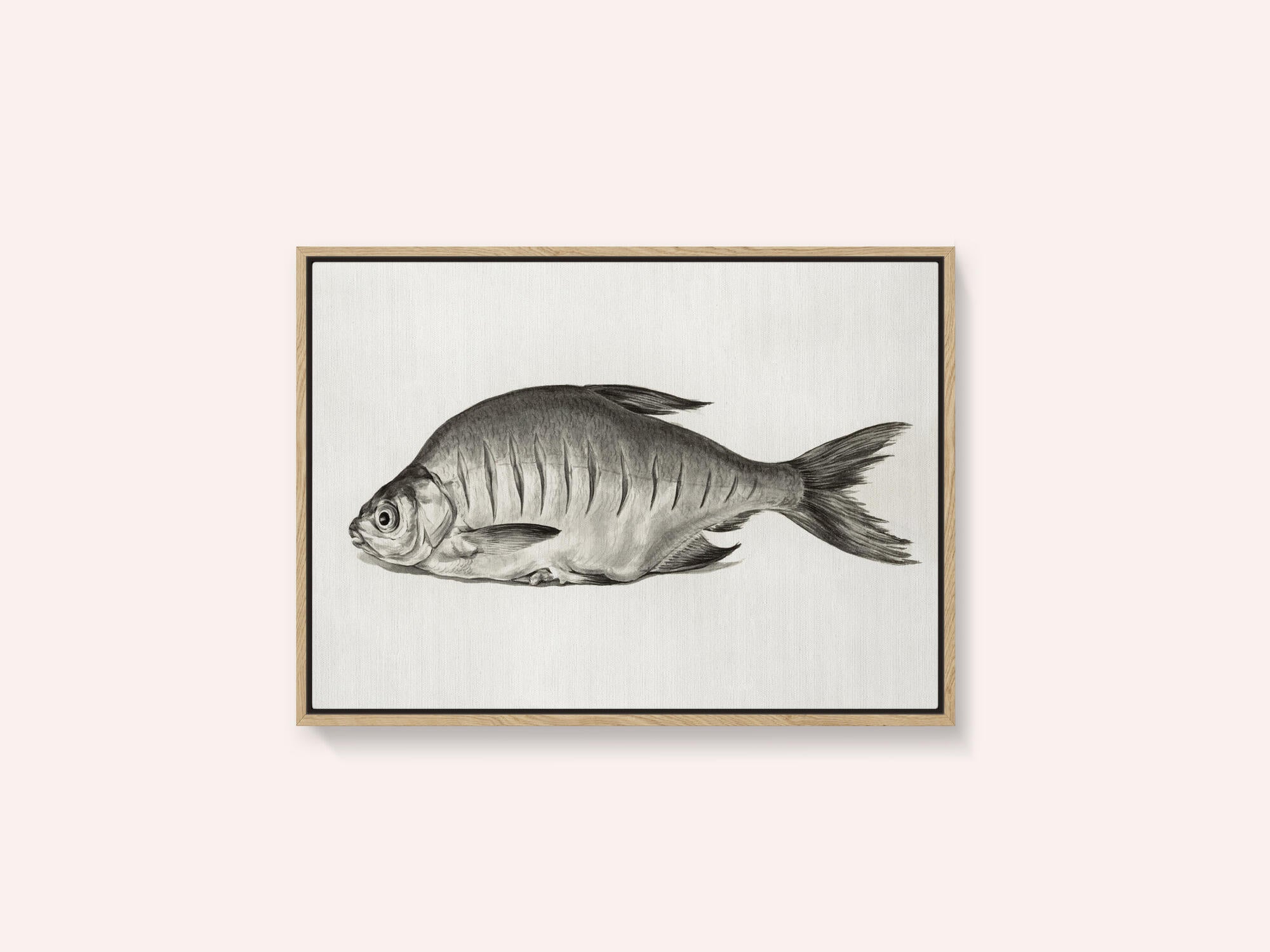 Fish (1775–1833)